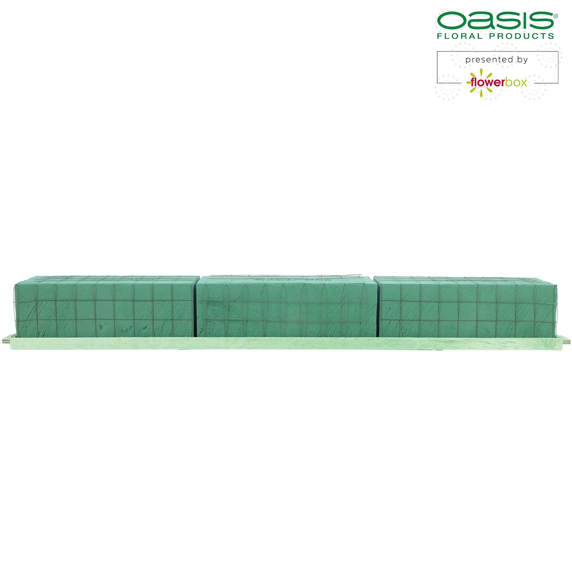 OASIS® BIOLINE® Raquette - für 3 Ziegel - 2 Stück