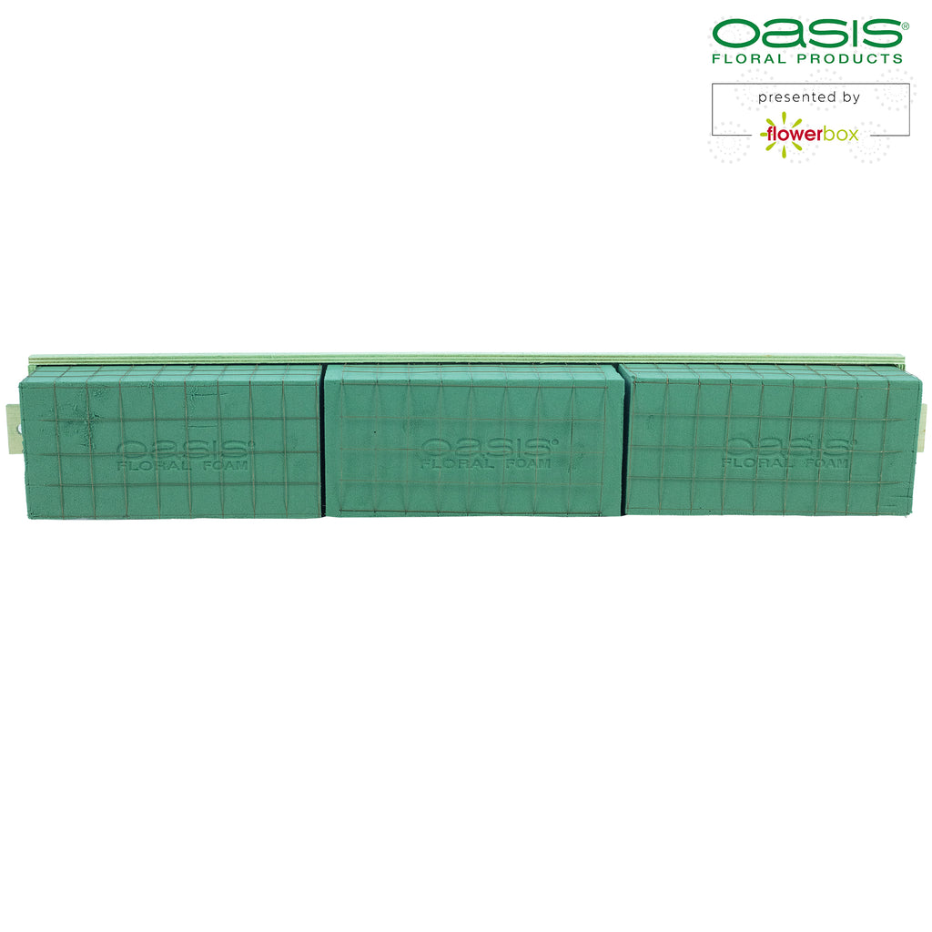 OASIS® BIOLINE® Raquette - für 3 Ziegel - 2 Stück