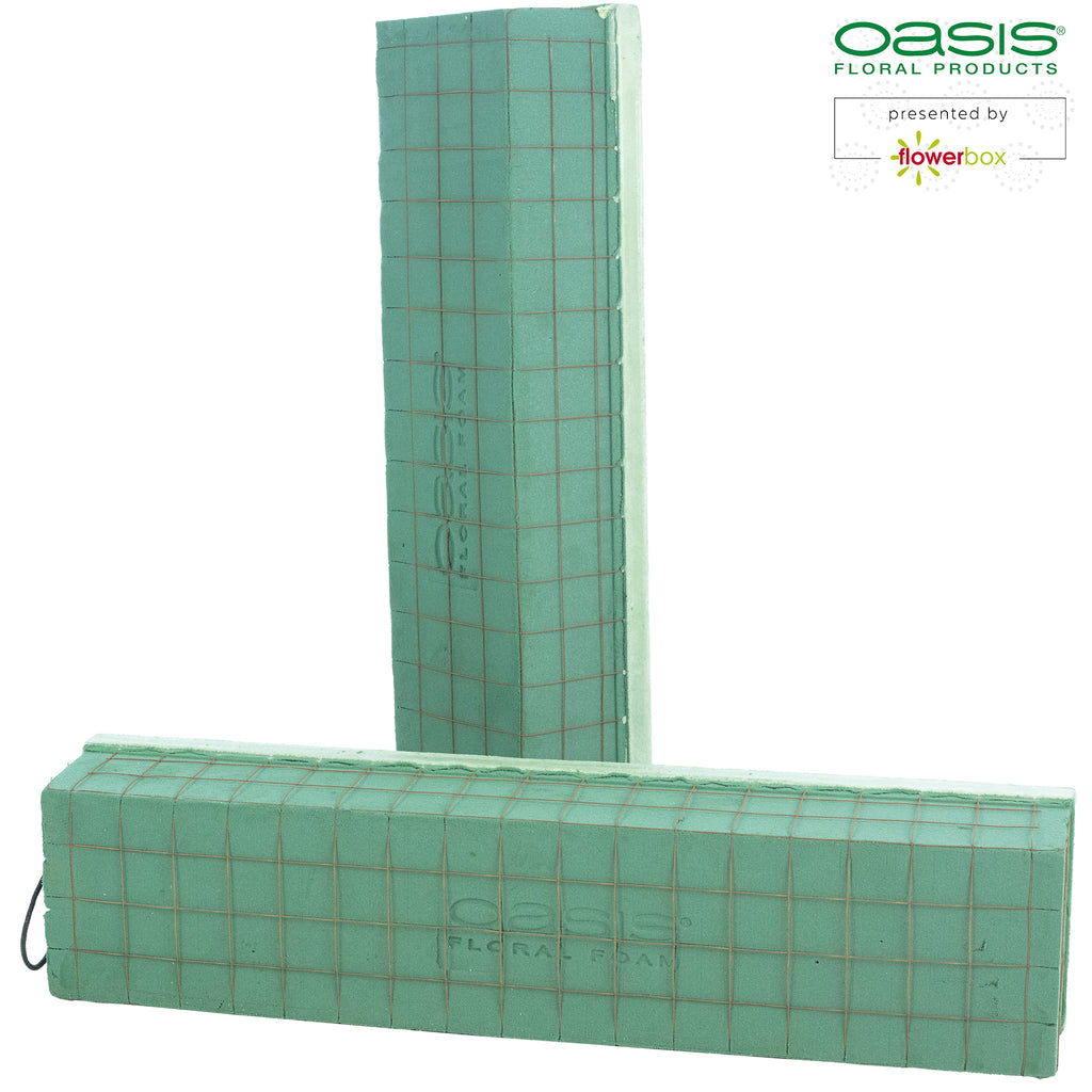 OASIS® ECObase® Raquette - 47 x 11 x 8 cm - 2 pieces