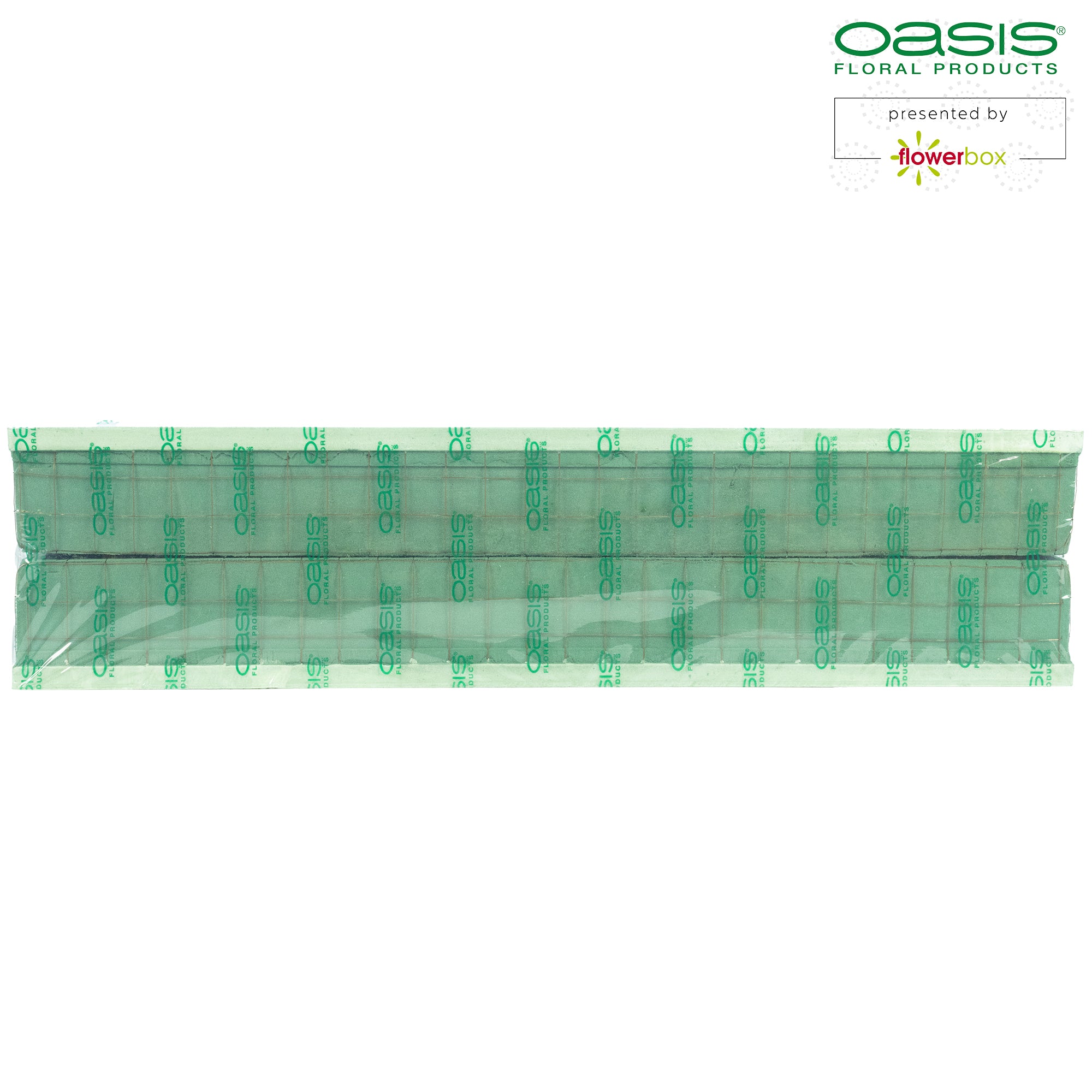 OASIS® ECObase® Raquette - 70 x 11 x 8,5 cm - 2 Stück