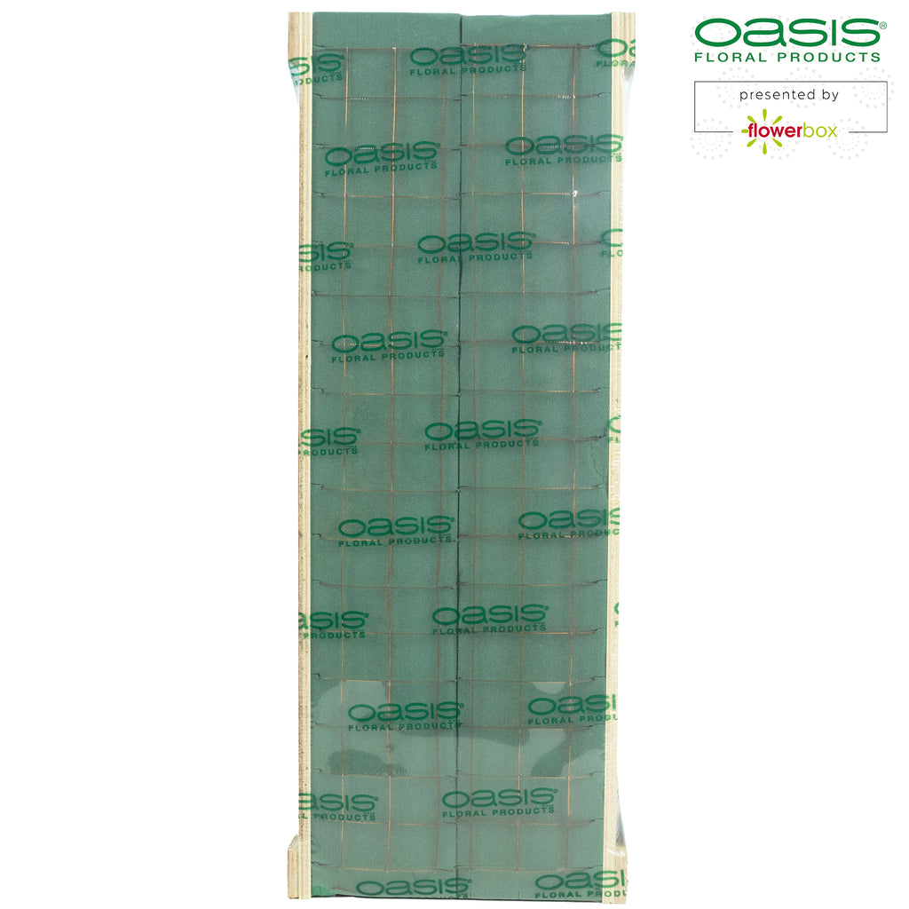 OASIS® Readyfix Raquette - 46 x 11 x 8.5 cm - for 2 bricks - 2 pieces