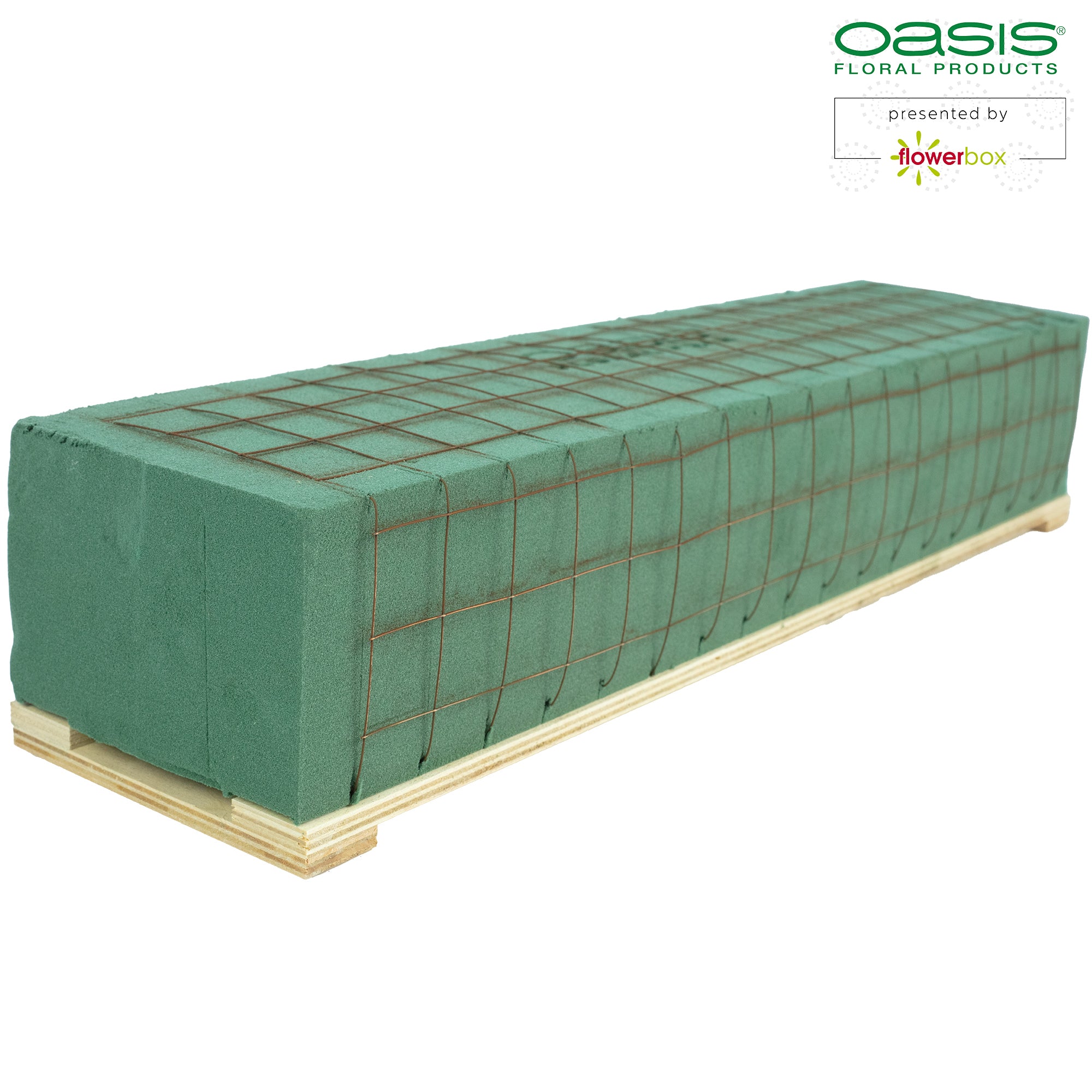 OASIS® Readyfix Raquette - 46 x 11 x 8.5 cm - for 2 bricks - 2 pieces