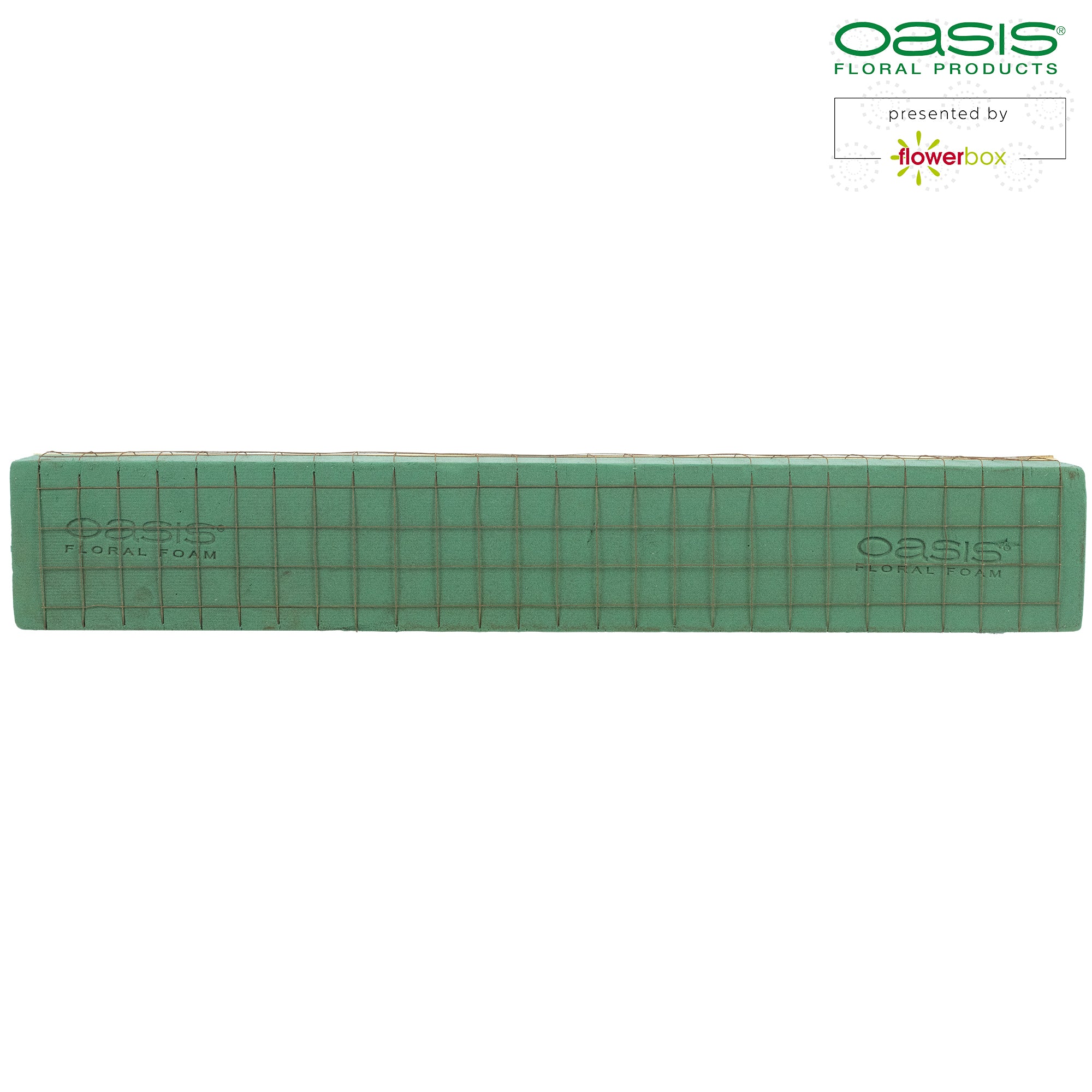 OASIS® Readyfix Raquette - 69,5 x 11,5 x 8,5 cm - für 3 Ziegel