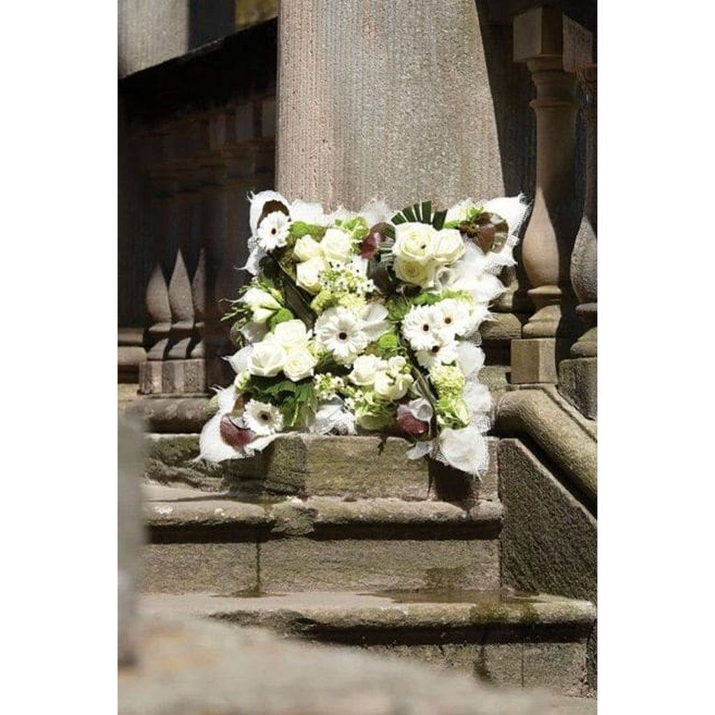 OASIS® FOAM FRAMES® Kissen - 38 x 38 x 6cm - 2 St.