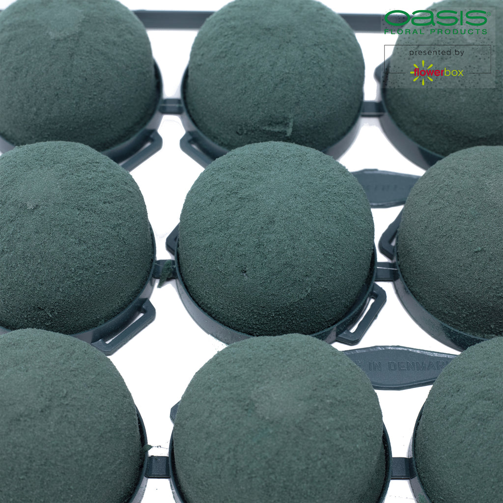 OASIS® Mini Deco IDEAL - 3.5 x 5cm Ø - 12 pcs.
