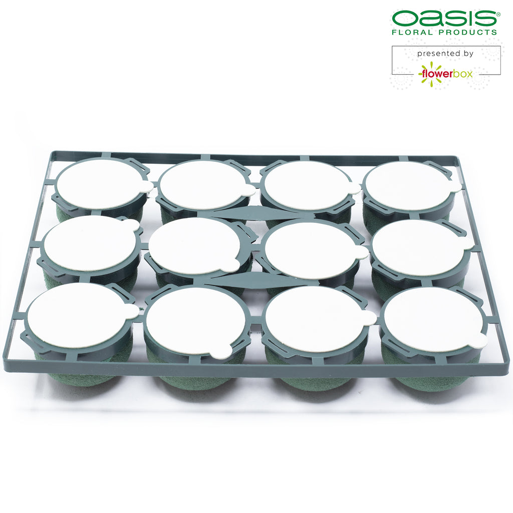 OASIS® Mini Deco IDEAL - 3.5 x 5cm Ø - 12 pcs.