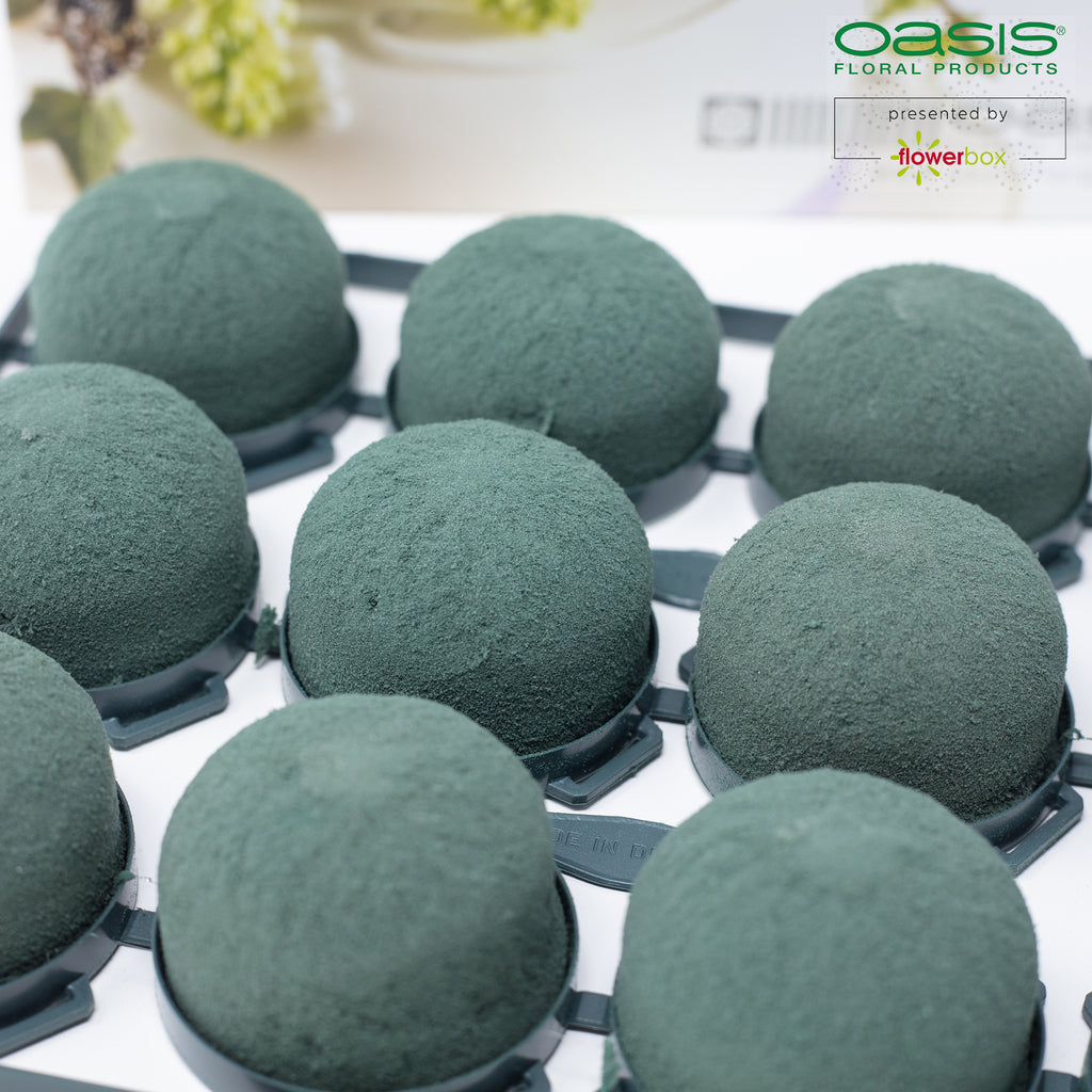 OASIS® Mini Deco IDEAL - 3.5 x 5cm Ø - 12 pcs.