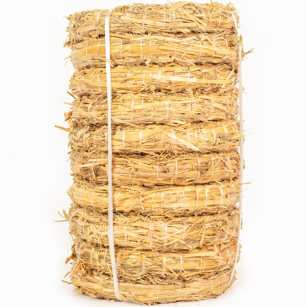 Lot de 10 couronnes de paille, diamètre 20 cm, épaisseur 3 cm