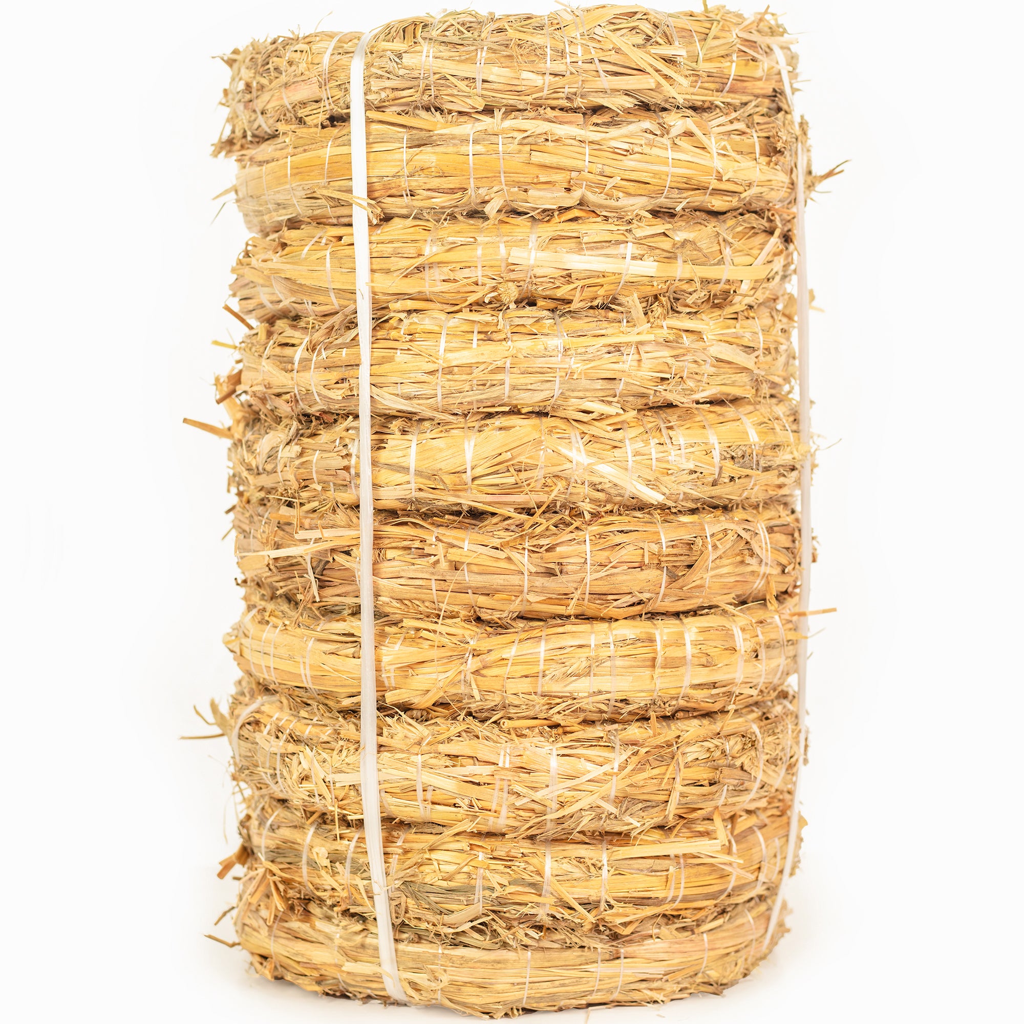 Lot de 10 couronnes de paille, diamètre 20 cm, épaisseur 3 cm