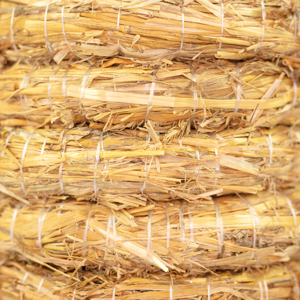 10er Set Strohrömer, Durchmesser 20 cm, Stärke 3 cm