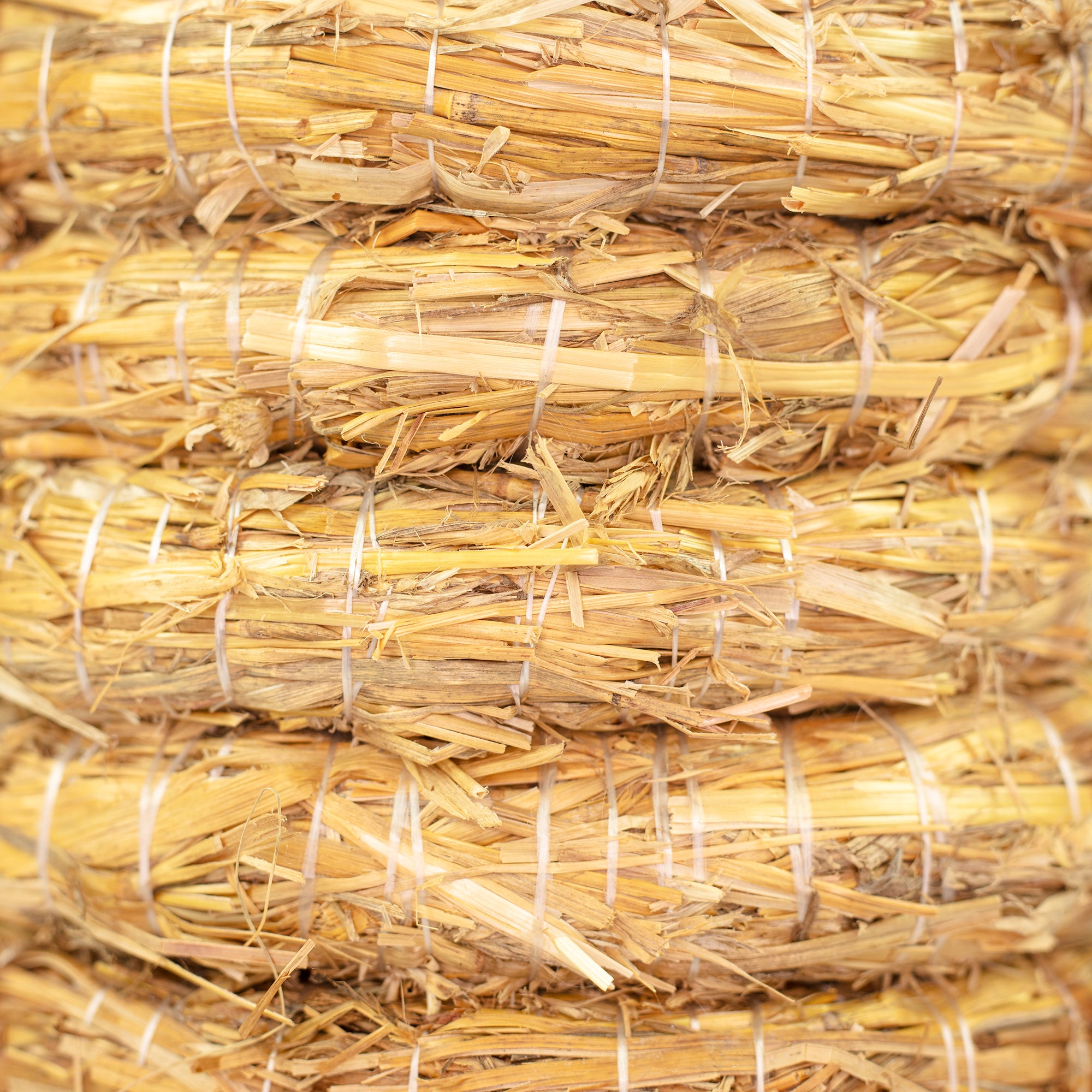 10er Set Strohrömer, Durchmesser 20 cm, Stärke 3 cm