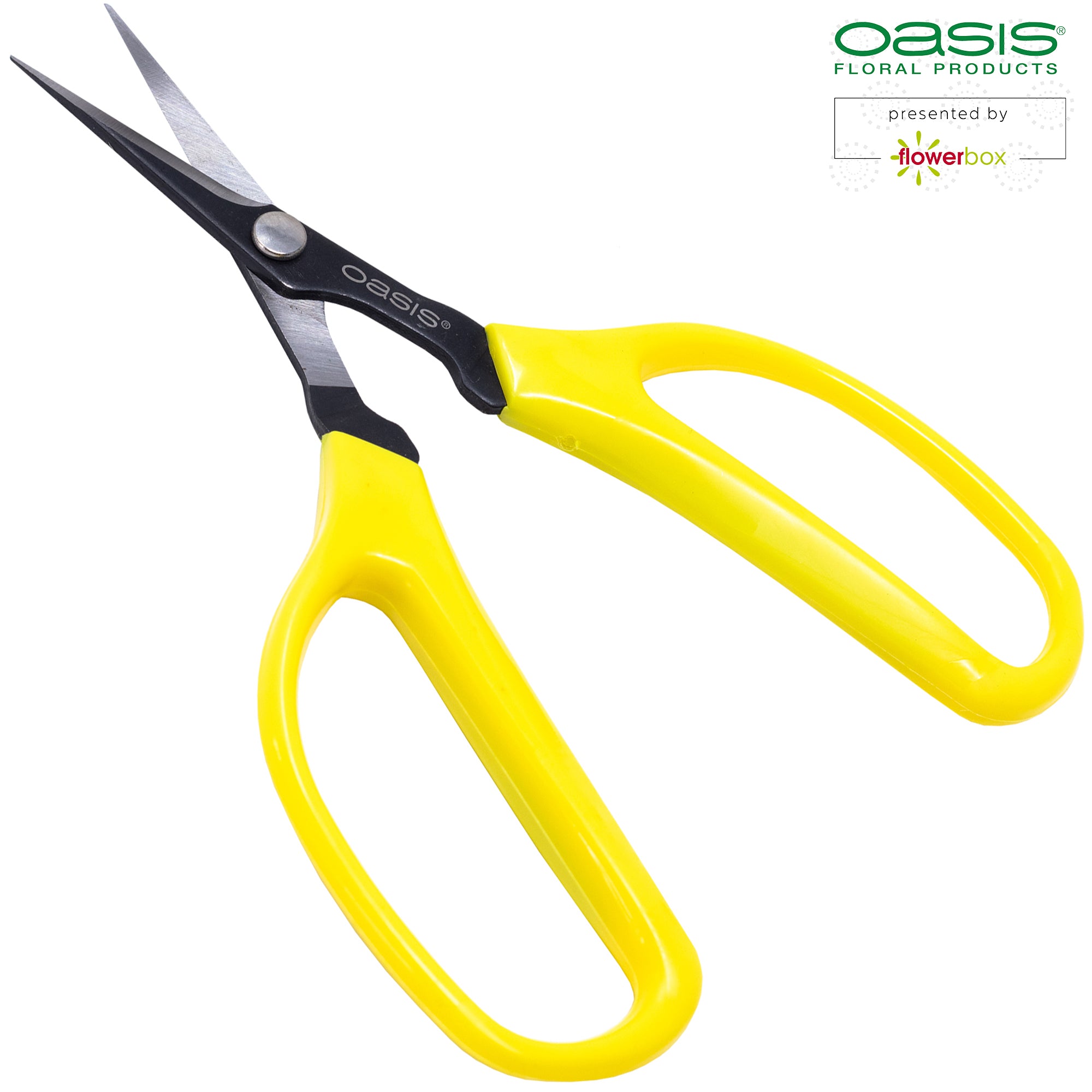 OASIS® Bonsai & Pinzierschere - 150 mm