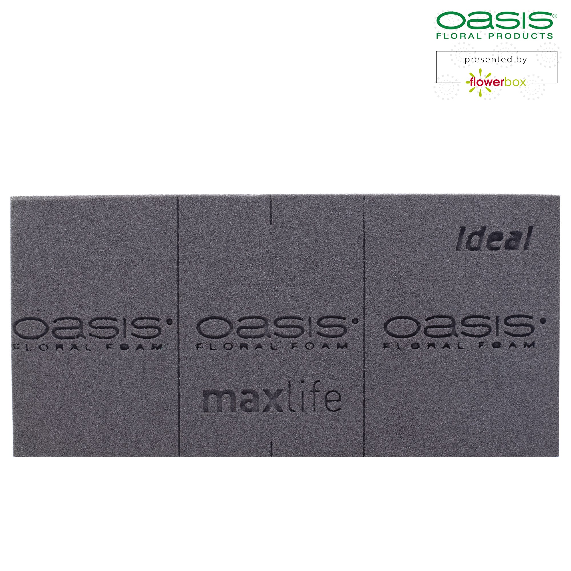 3x Original OASIS® BLACK IDEAL maxlife Steckschaum für längere Haltbarkeit bei Frischblumen - Steckmasse Blumen - Nasssteckschaum Hochzeit Geburtstag Kirche Ziegelform