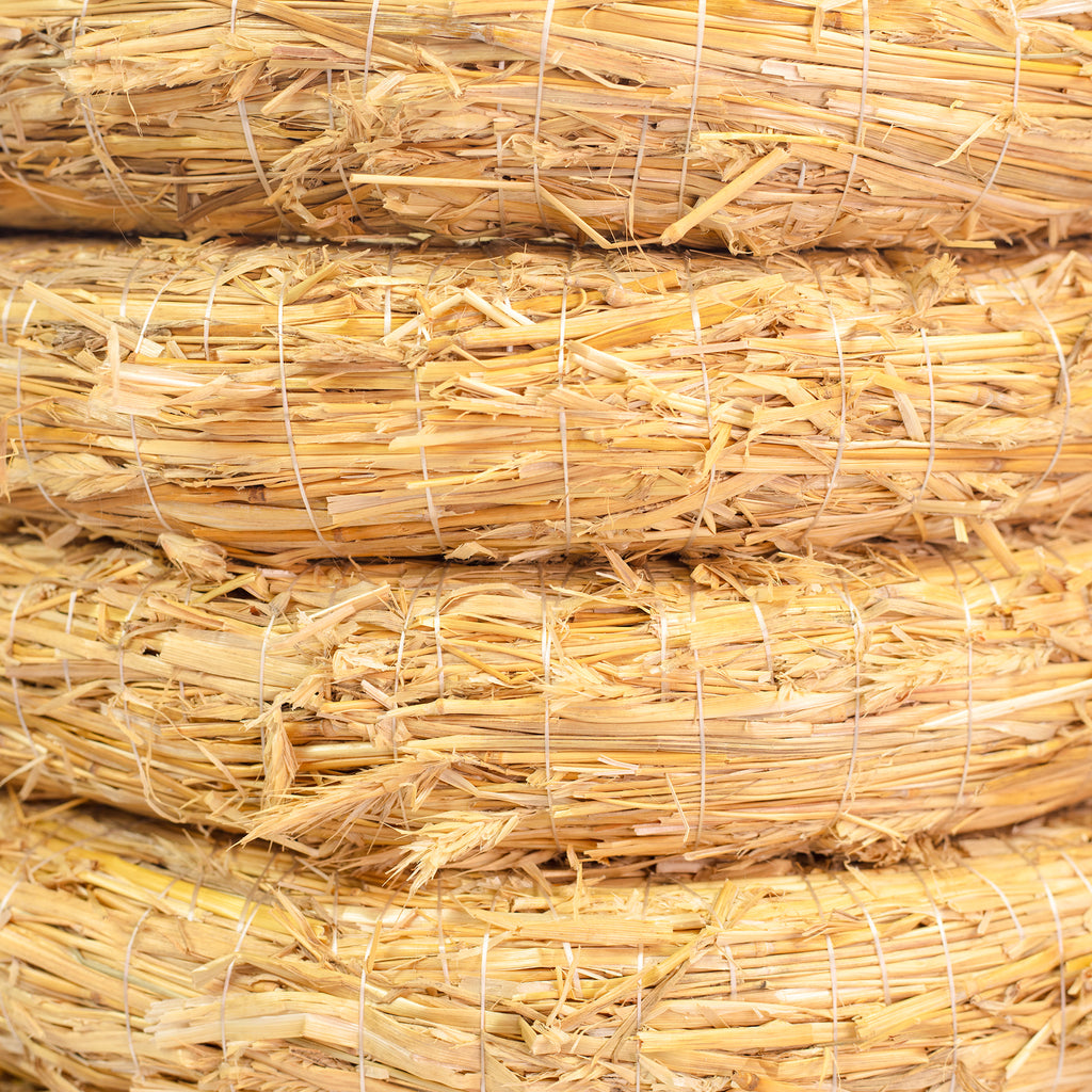 10er Set Strohrömer, Durchmesser 35 cm, Stärke 6 cm