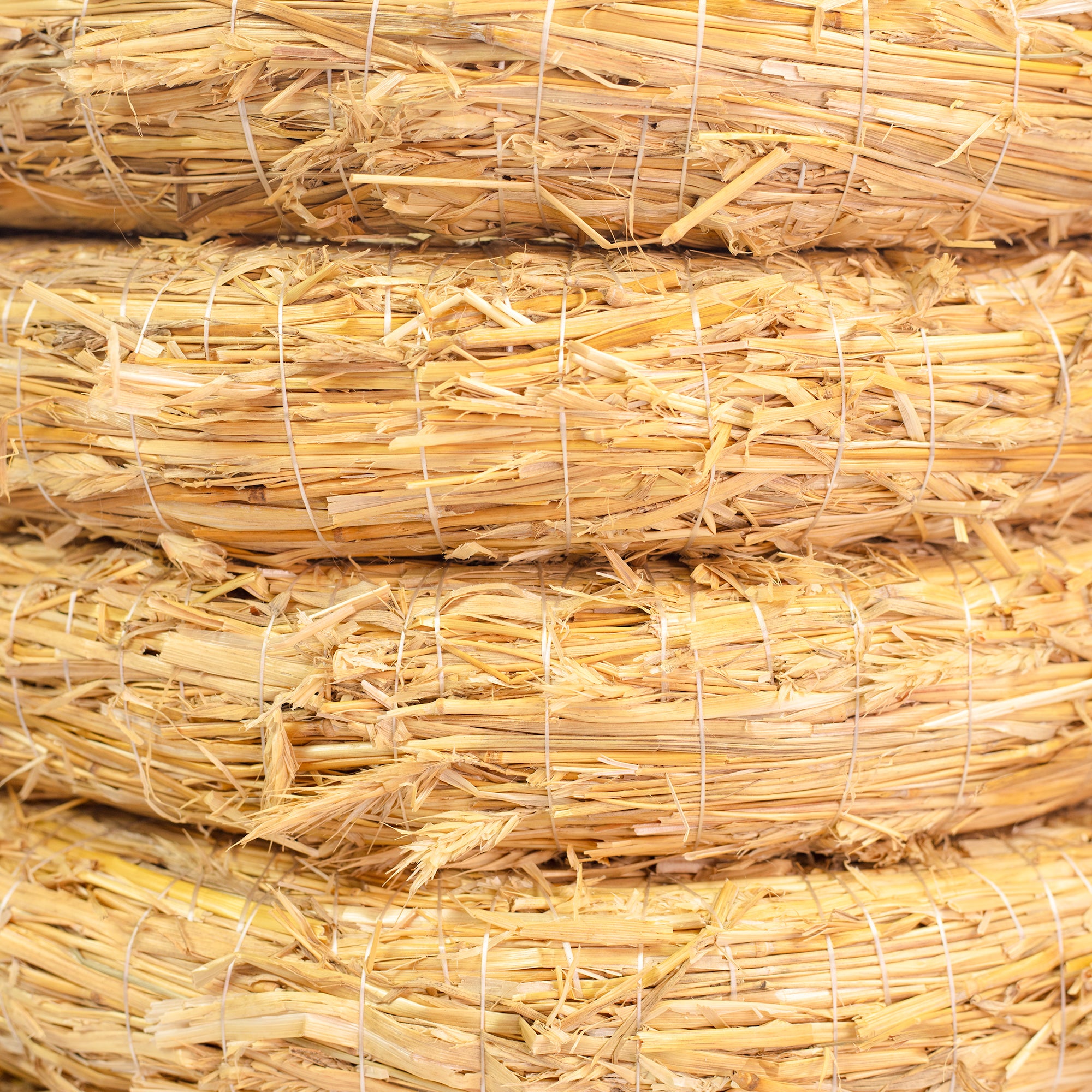 10er Set Strohrömer, Durchmesser 35 cm, Stärke 6 cm