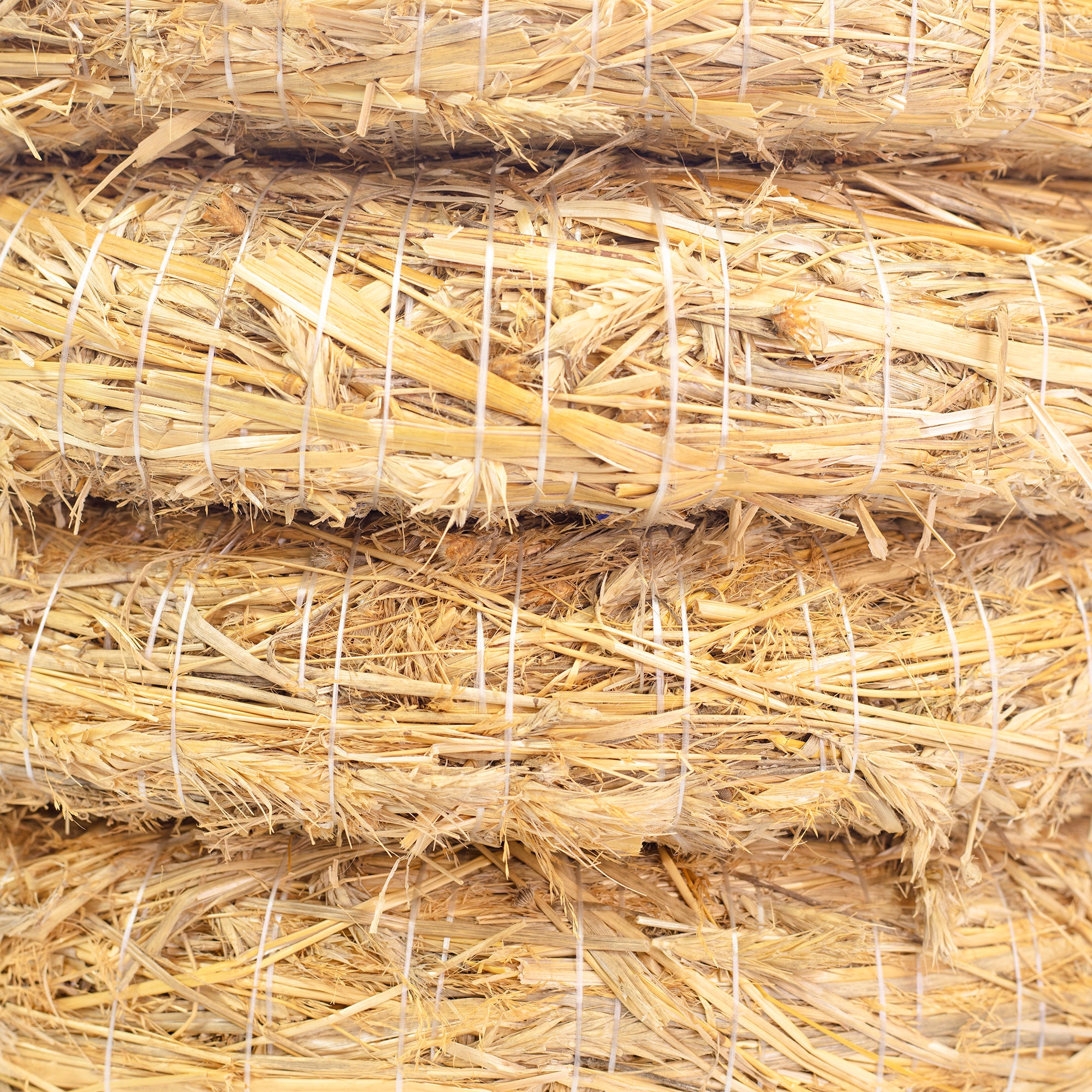 5er Set Strohrömer, Durchmesser 45 cm, Stärke 8 cm