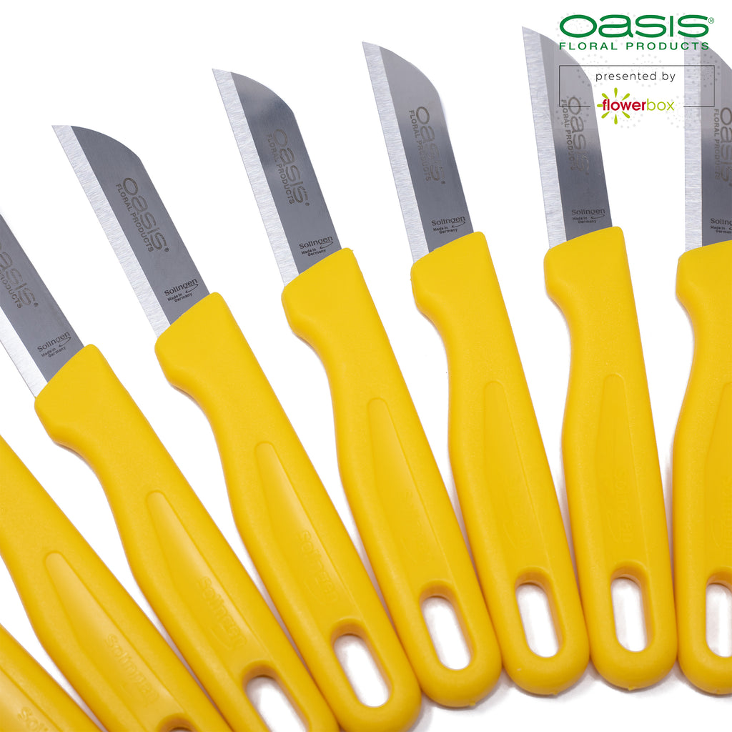 OASIS® Floristenmesser - Klinge 60 mm - Solinger-Stahl - 10 Stk