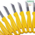 OASIS® Floristenmesser - Klinge 60 mm - Solinger-Stahl - 10 Stk