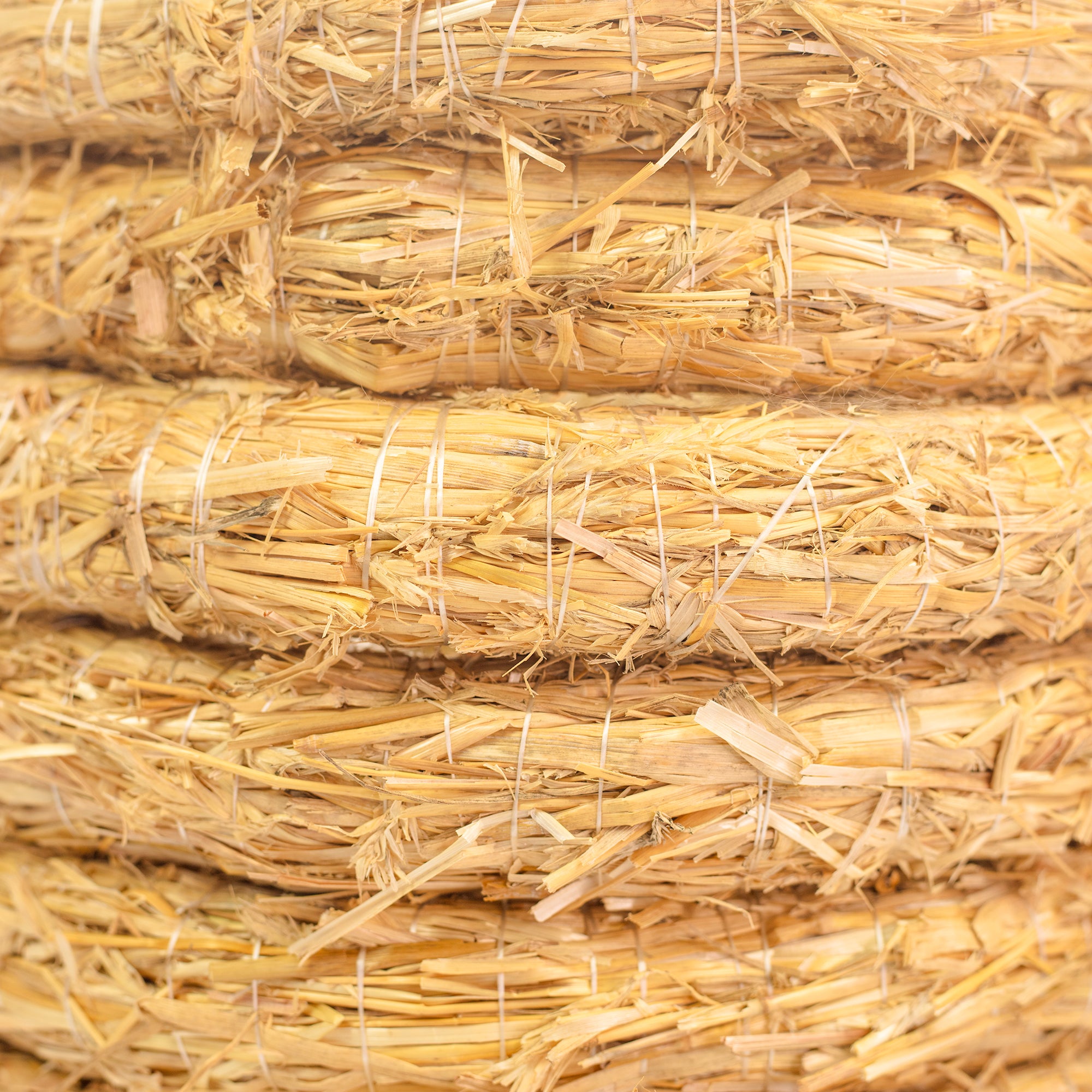 10er Set Strohrömer, Durchmesser 30 cm, Stärke 4 cm