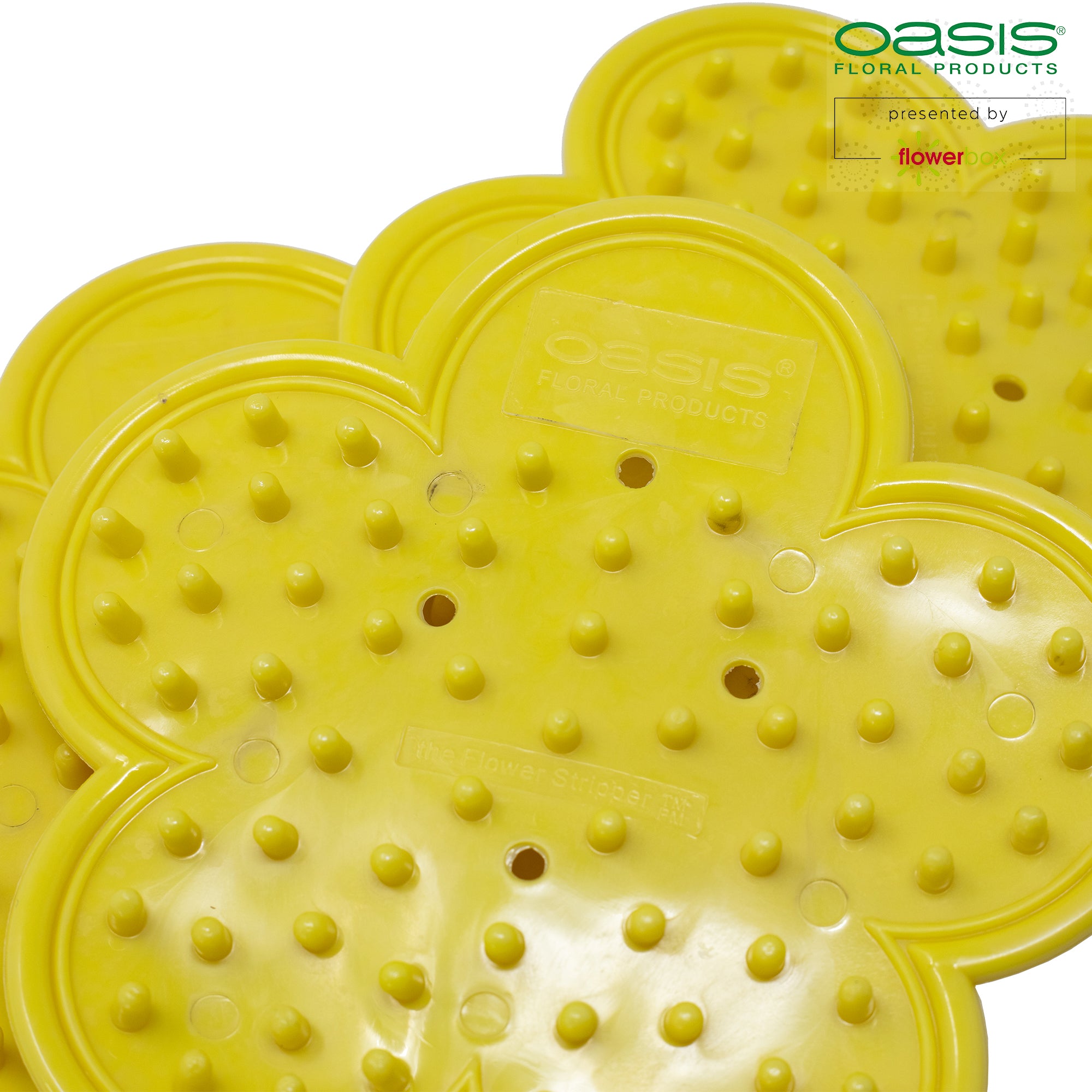 OASIS® Leaf and Thorn Remover - 3 pieces