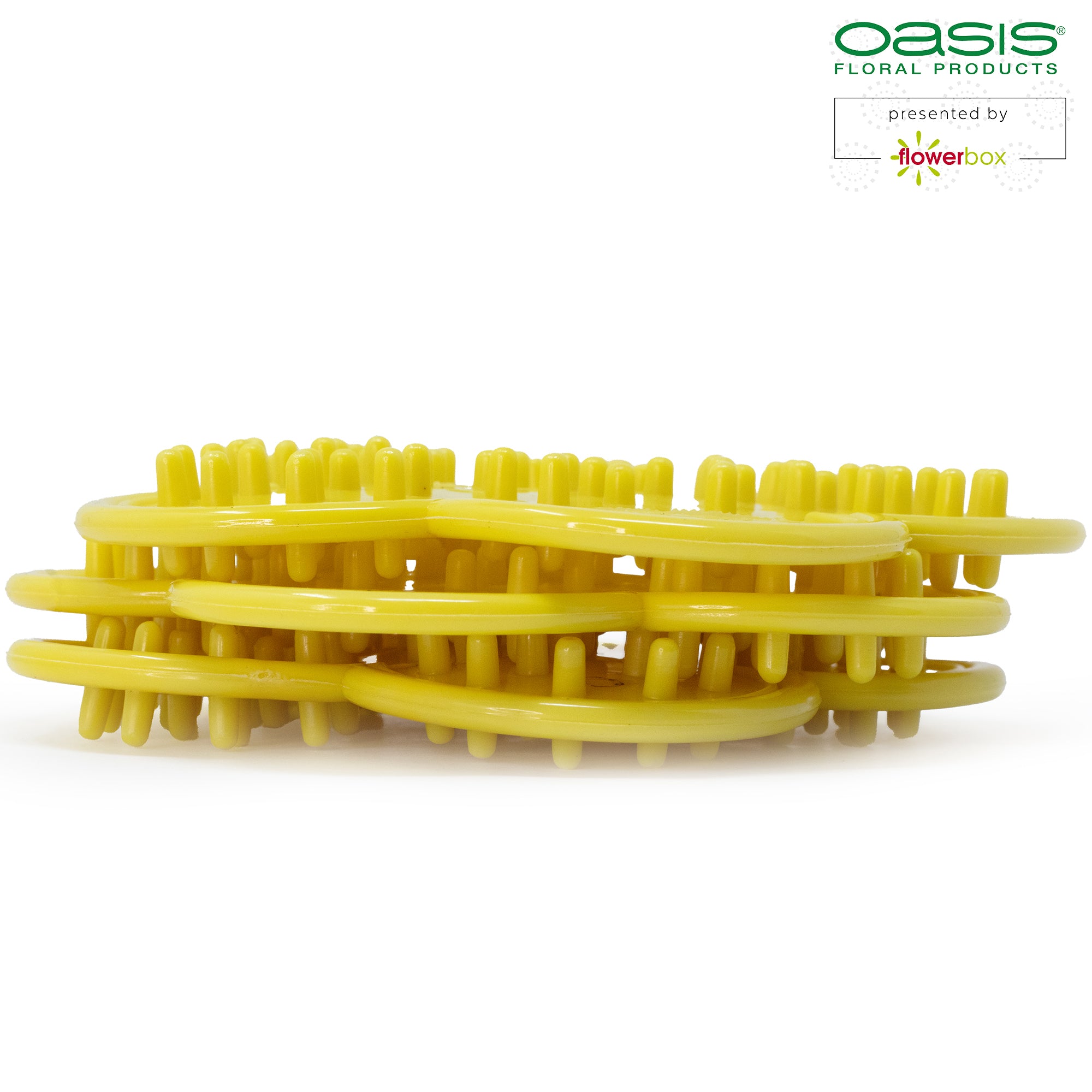 OASIS® Leaf and Thorn Remover - 3 pieces
