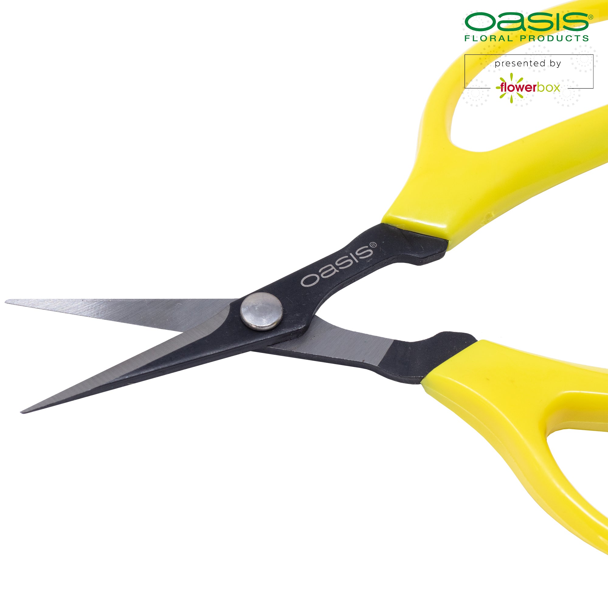 OASIS® Bonsai & Pinzierschere - 150 mm