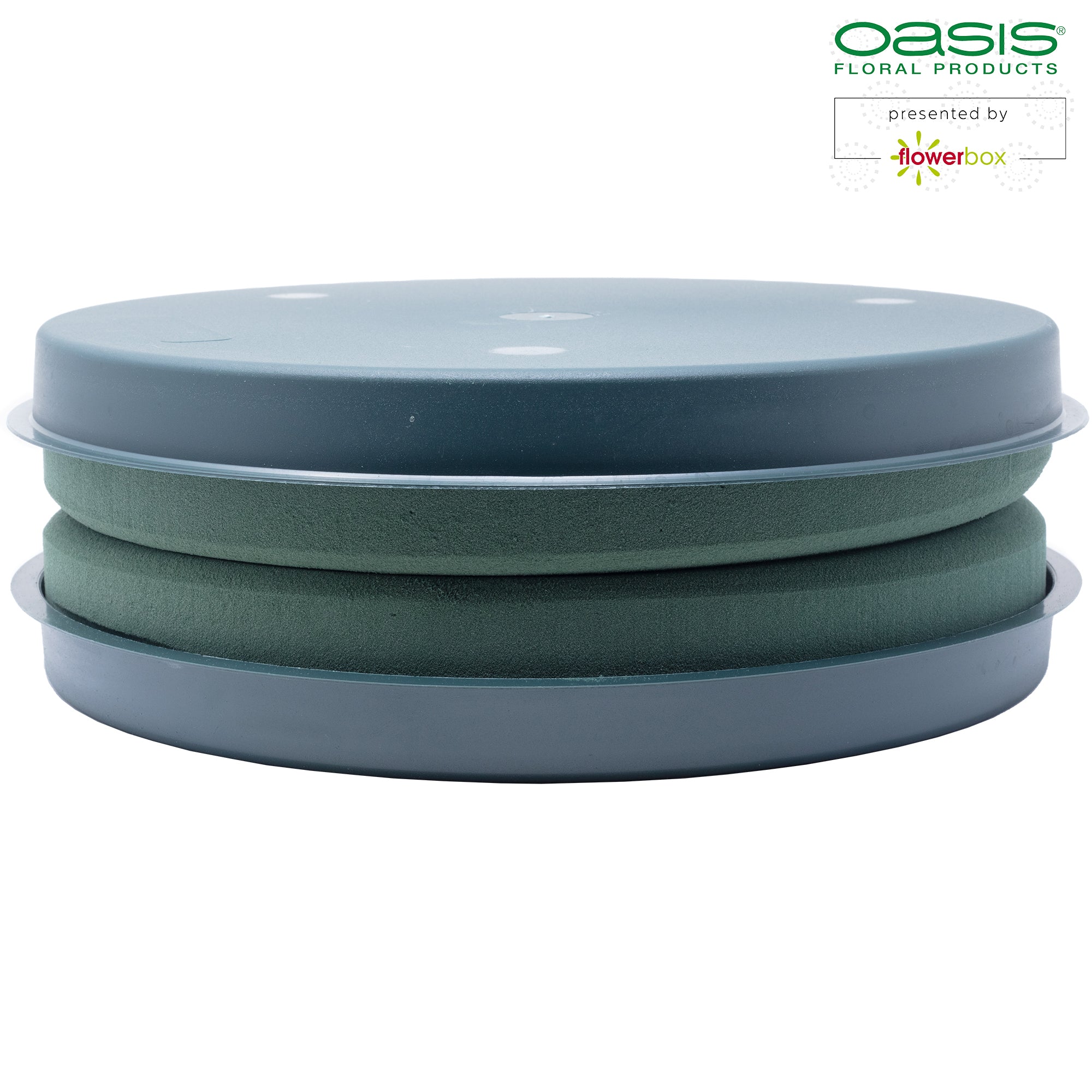 OASIS® IDEAL Design Ring - 4,5 x 30cm Ø - innen: 19cm Ø - 2 St.