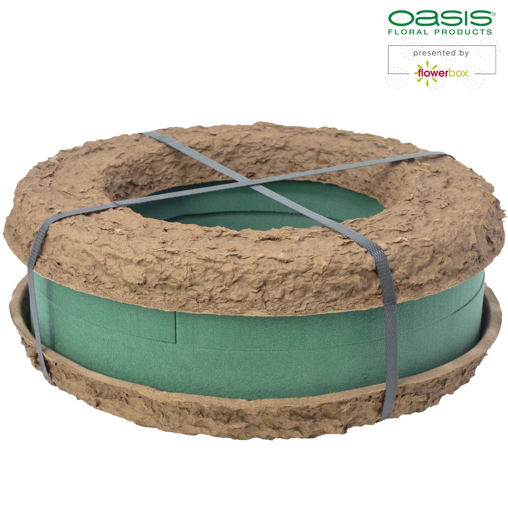 OASIS® BIOLIT® Ring - 5,5 x 32cm Ø - innen: 20,5cm Ø - 2 St.