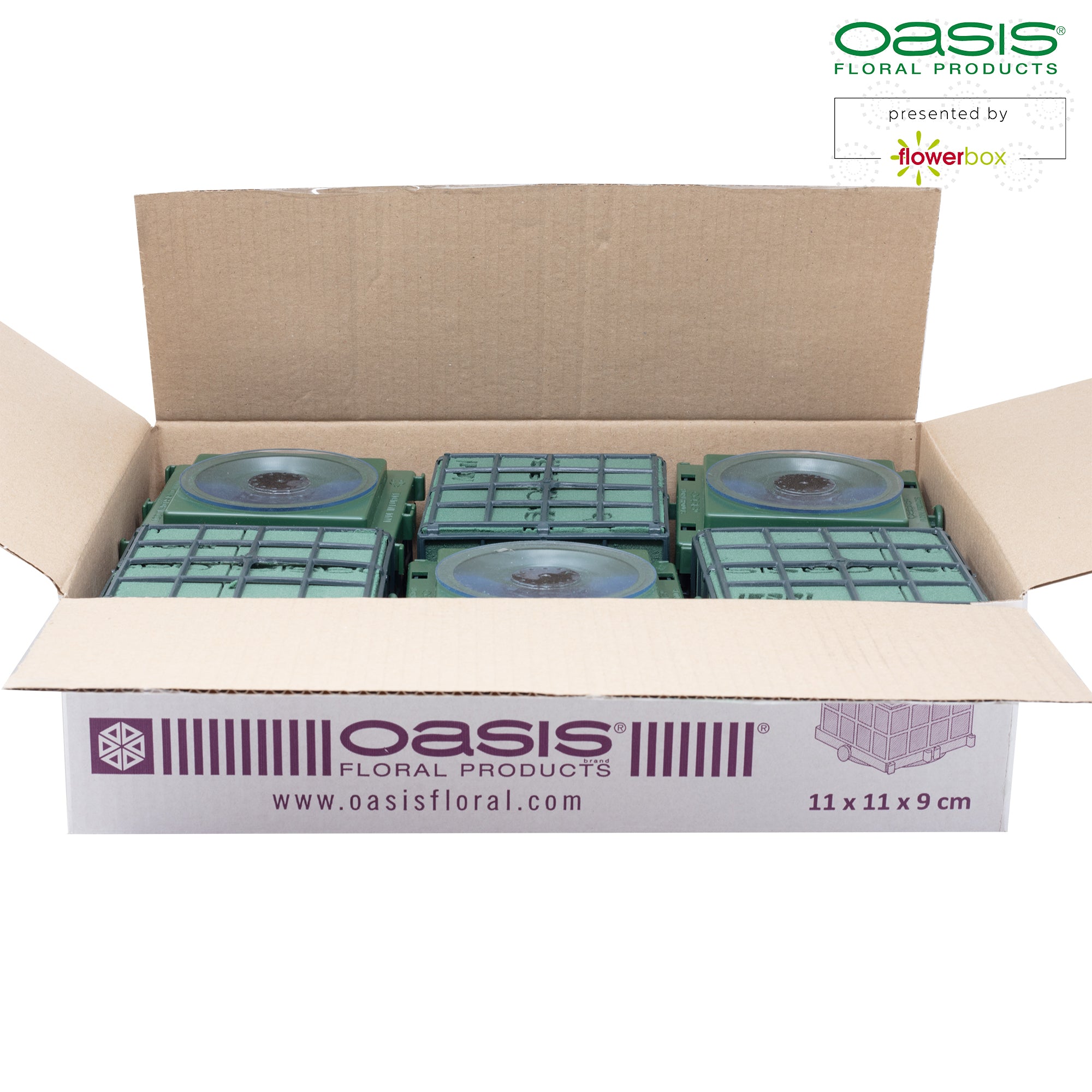 OASIS® Auto-Corso - 11 x 11 x 9cm - 6 St.