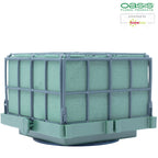 OASIS® Auto-Corso - 11 x 11 x 9cm - 6 St.