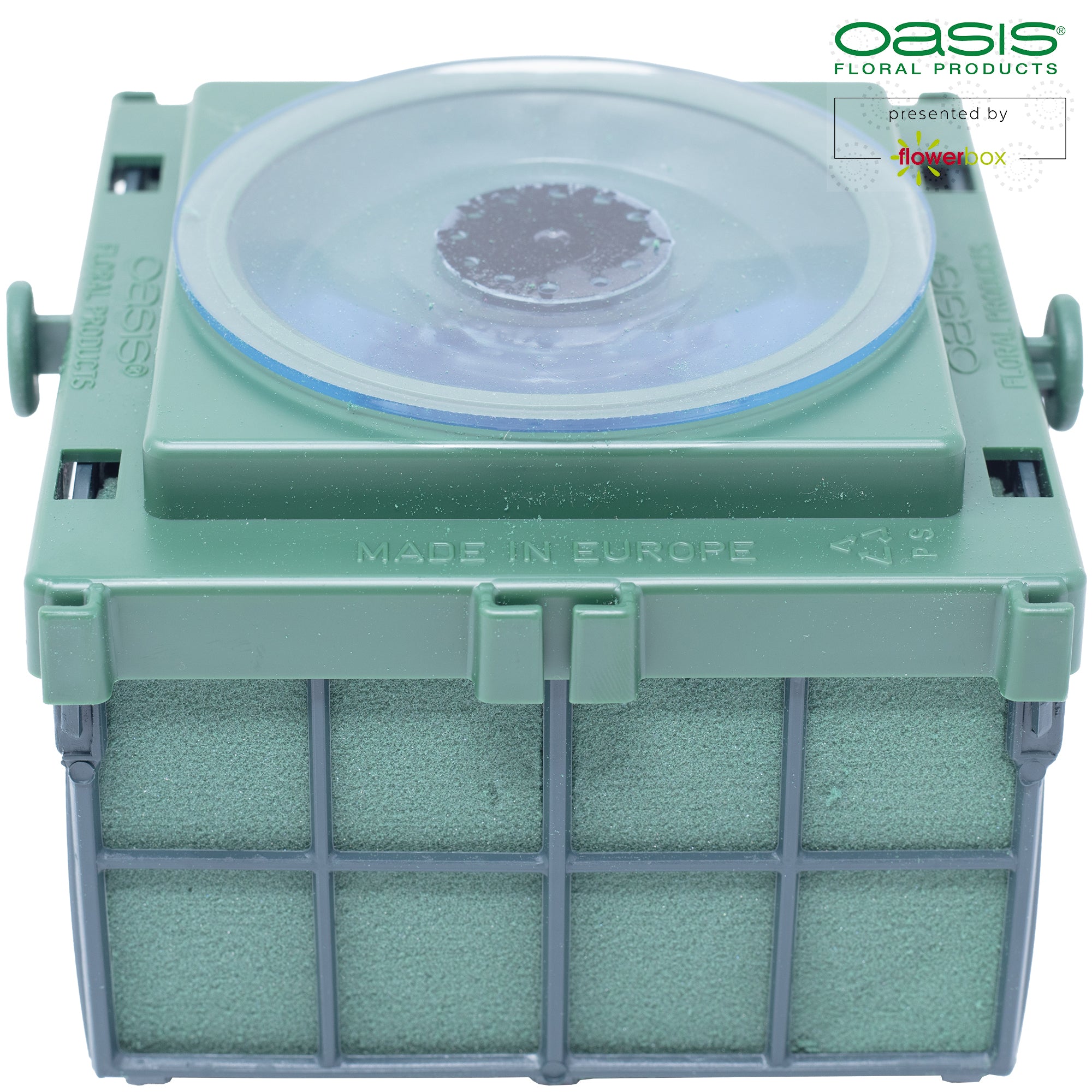 OASIS® Auto-Corso - 11 x 11 x 9cm - 6 St.