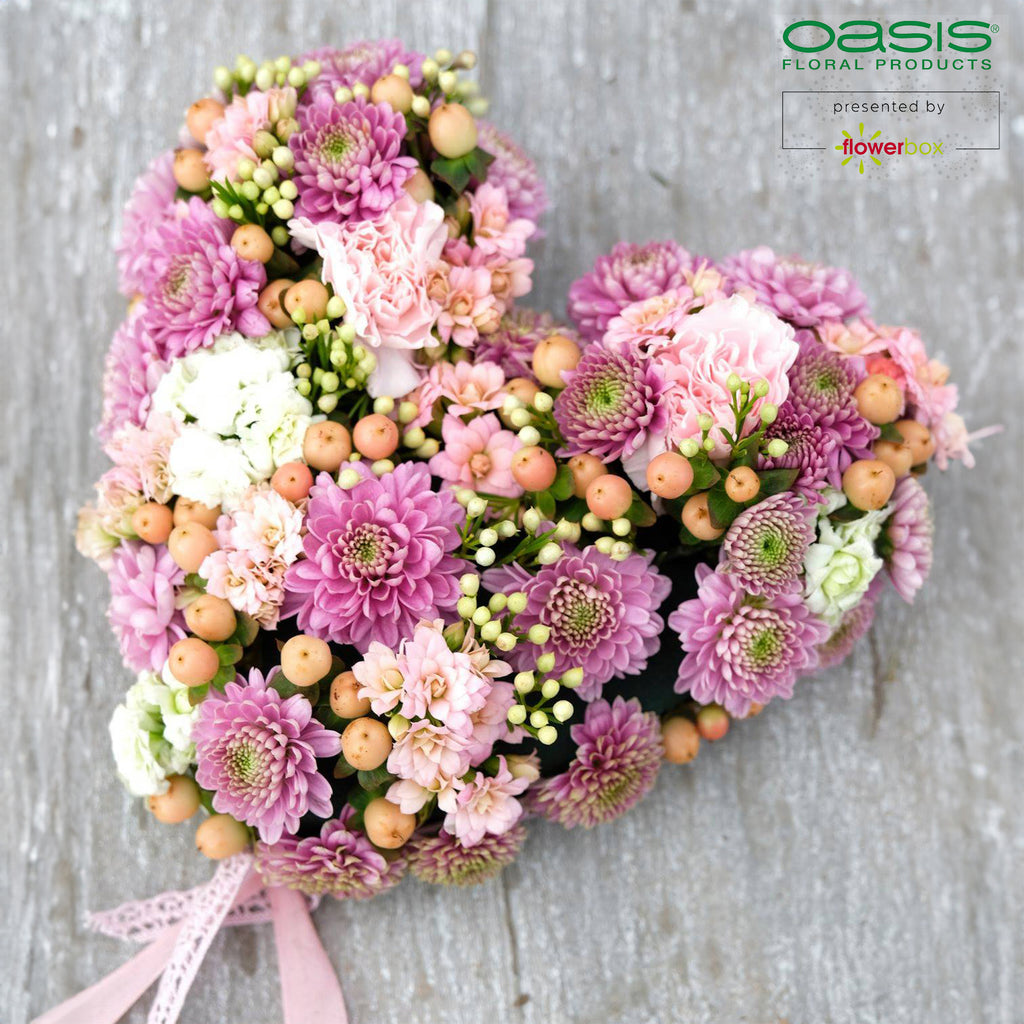 OASIS® BIOLIT® Herzen - 17 x 17 x 4cm - 4 St.