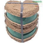 OASIS® BIOLIT® Herzen - 17 x 17 x 4cm - 4 St.