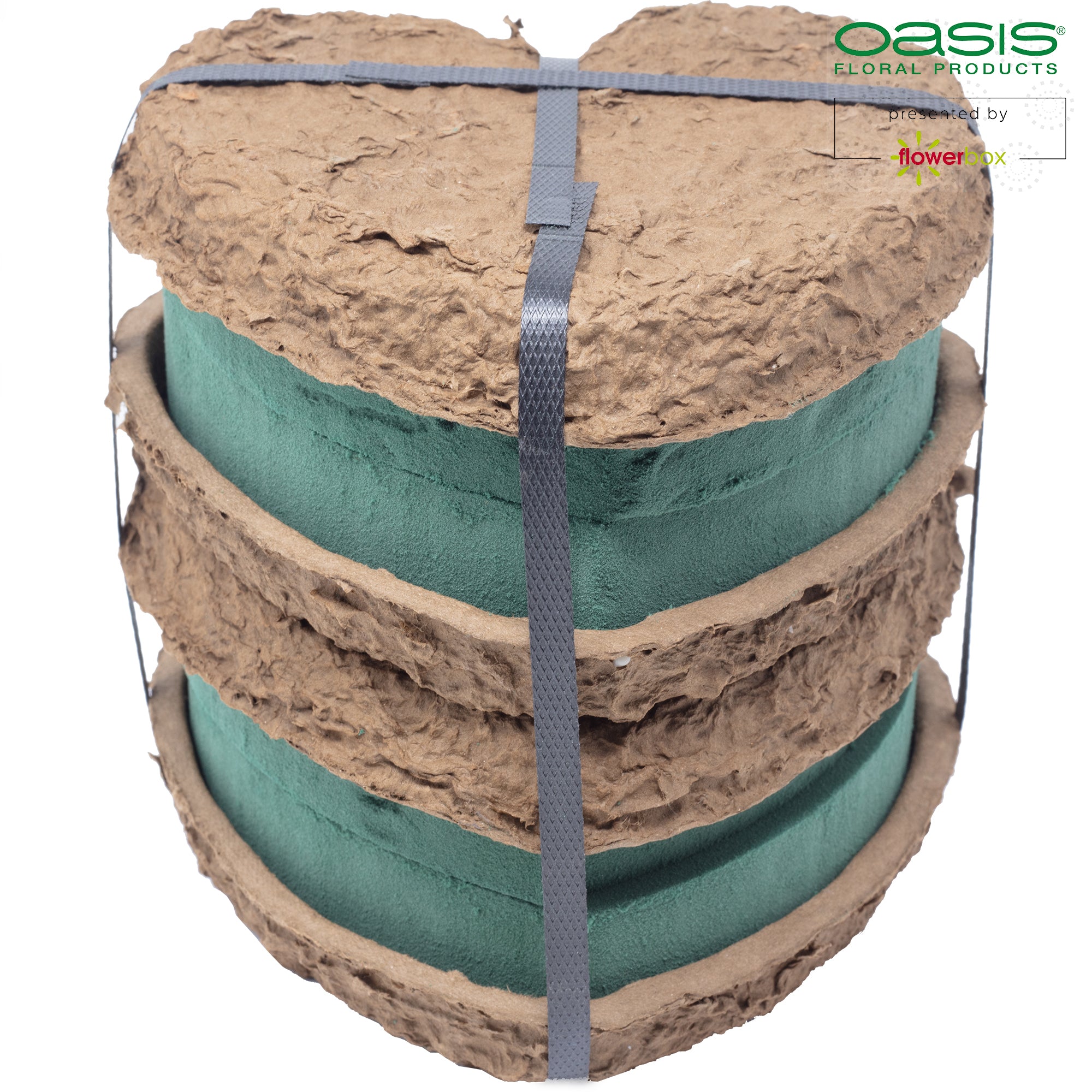 OASIS® BIOLIT® Herzen - 17 x 17 x 4cm - 4 St.
