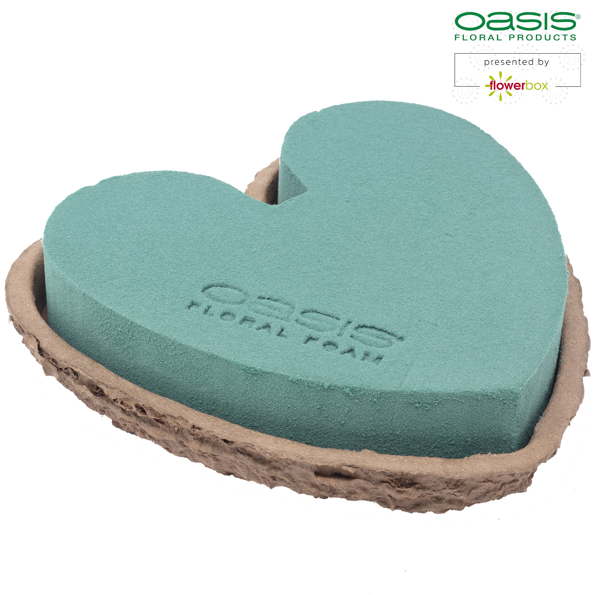 OASIS® BIOLIT® Herzen - 17 x 17 x 4cm - 4 St.
