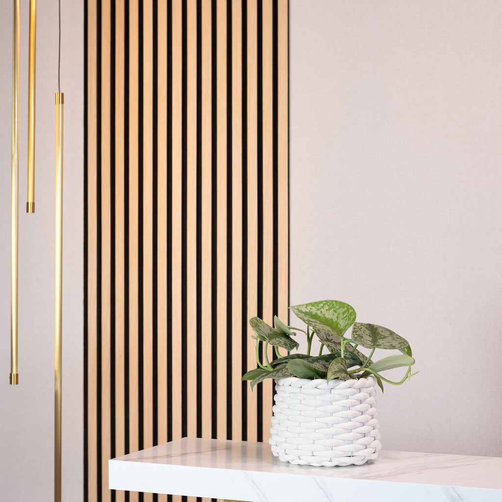 Gefleckte Efeutute - Scindapsus pictus 'Argyraeus' - Höhe ca. 15 cm, Topf-Ø 12 cm