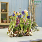 OASIS® Car Corso - 11 x 11 x 9 cm - 2 pièces.