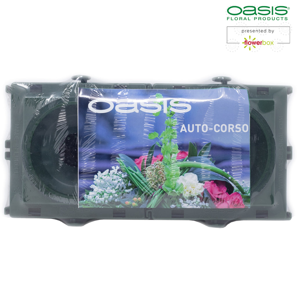 OASIS® Car Corso - 11 x 11 x 9 cm - 2 pièces.
