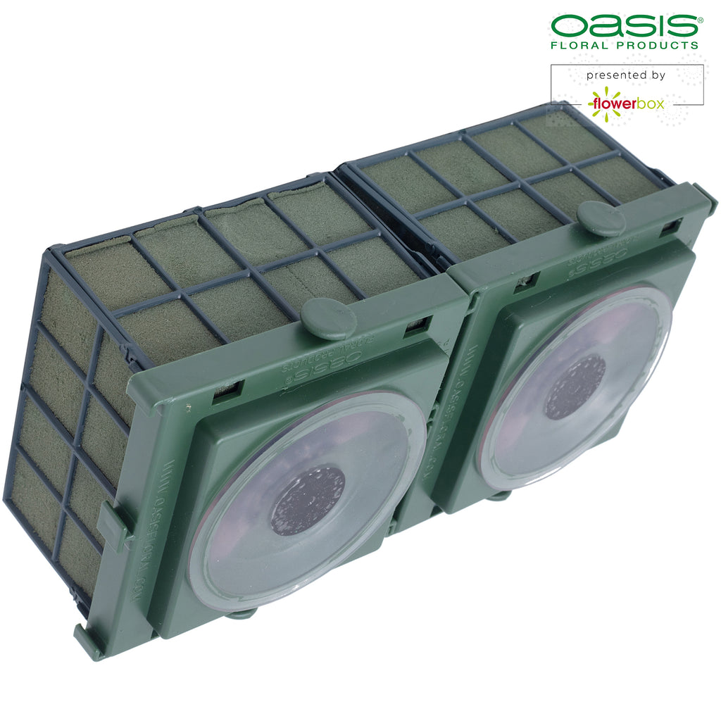 OASIS® Car Corso - 11 x 11 x 9 cm - 2 pièces.