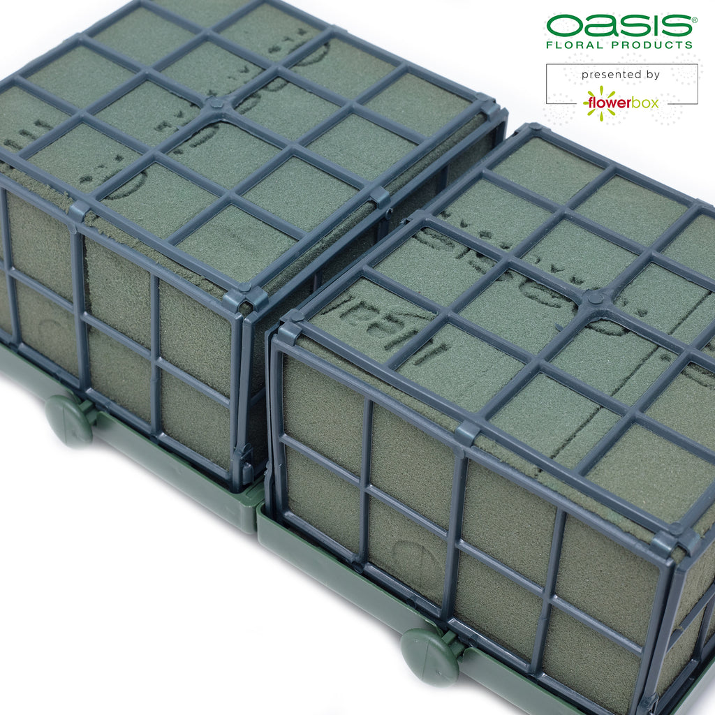 OASIS® Car Corso - 11 x 11 x 9 cm - 2 pièces.