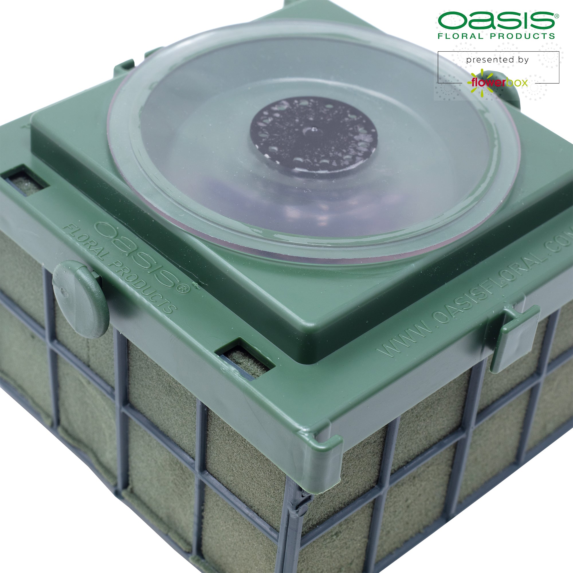 OASIS® Car Corso - 11 x 11 x 9 cm - 2 pièces.