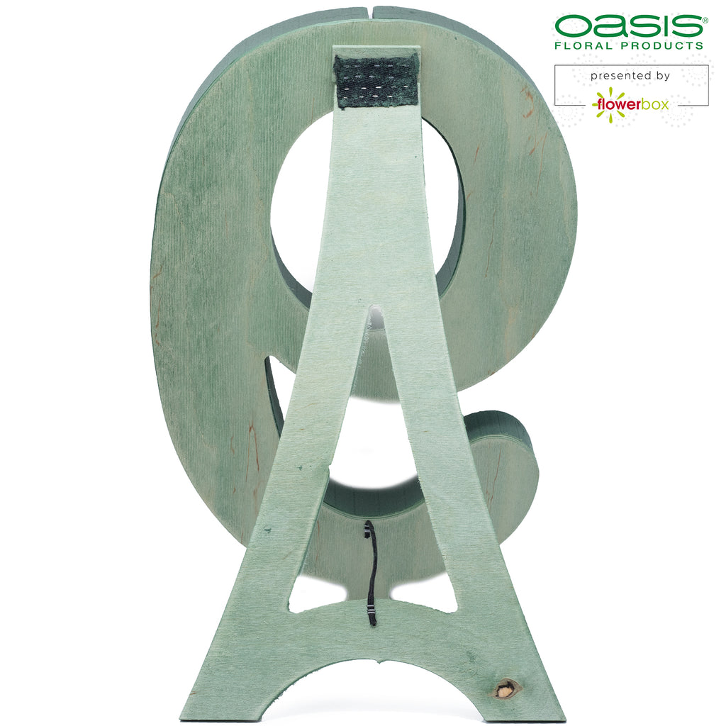 OASIS® BIOLINE® numéro 9 - 40 x 26 x 6 cm