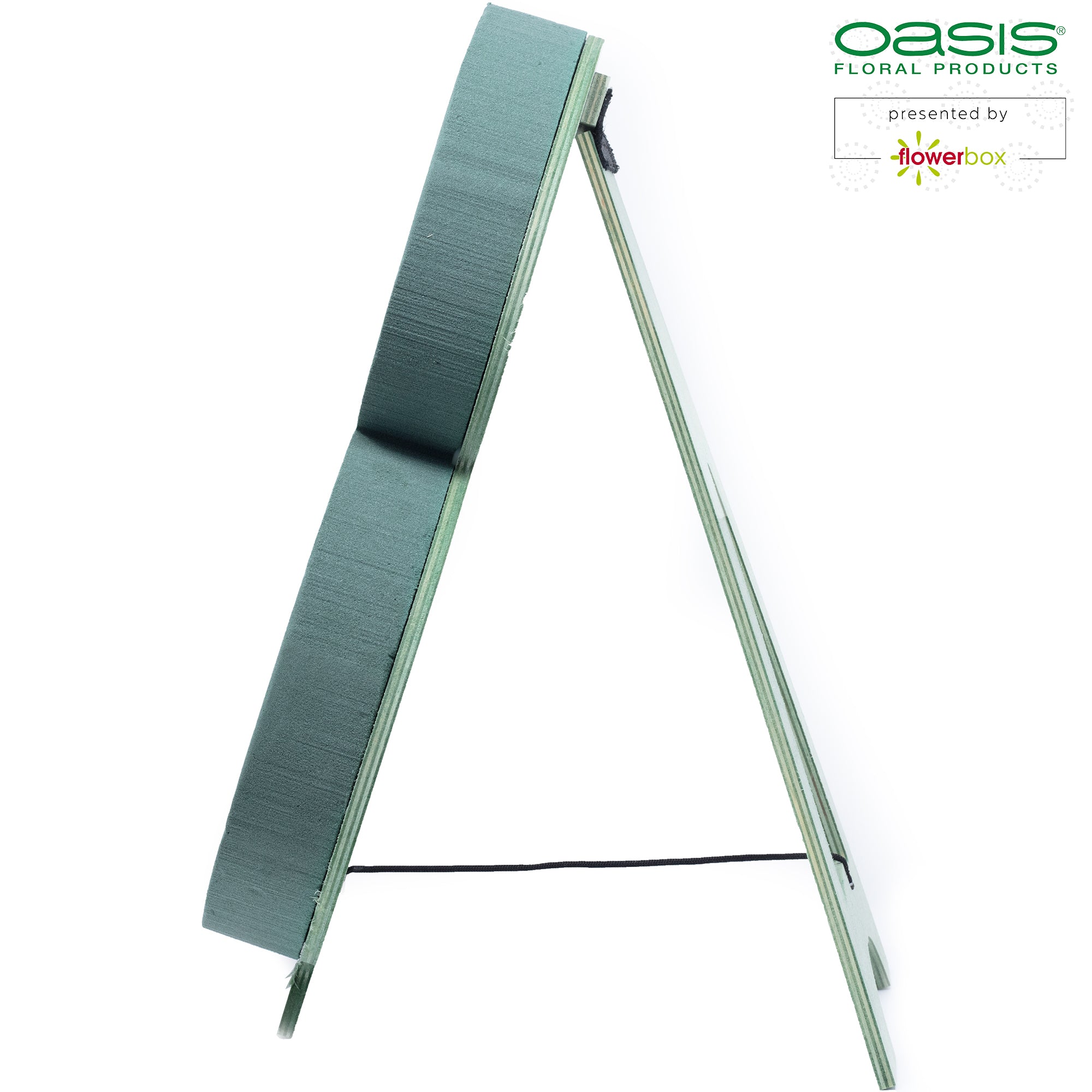 OASIS® BIOLINE® Ziffer 8 - 40 x 26 x 6 cm