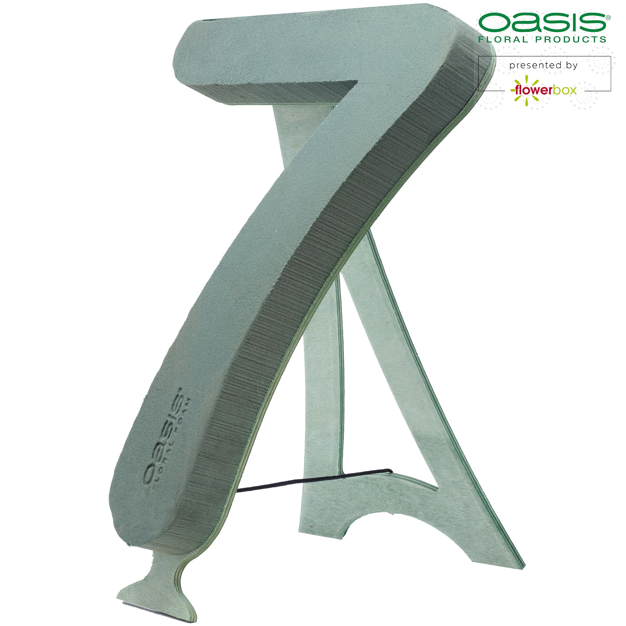 OASIS® BIOLINE® Ziffer 7 - 40 x 26 x 6 cm