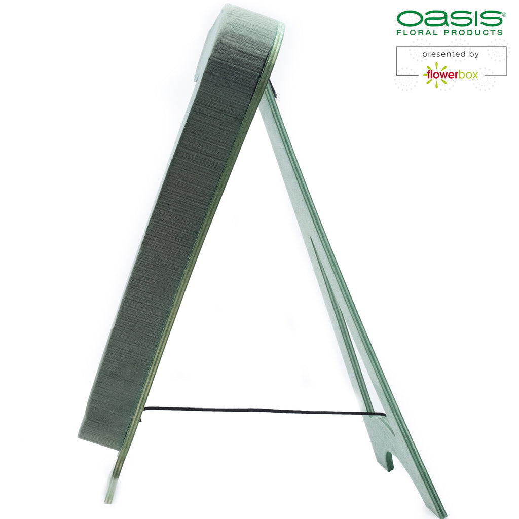 OASIS® BIOLINE® Ziffer 7 - 40 x 26 x 6 cm