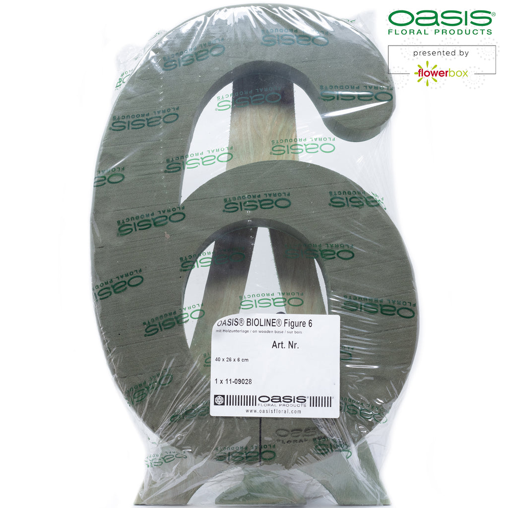 OASIS® BIOLINE® Ziffer 6 - 40 x 26 x 6 cm