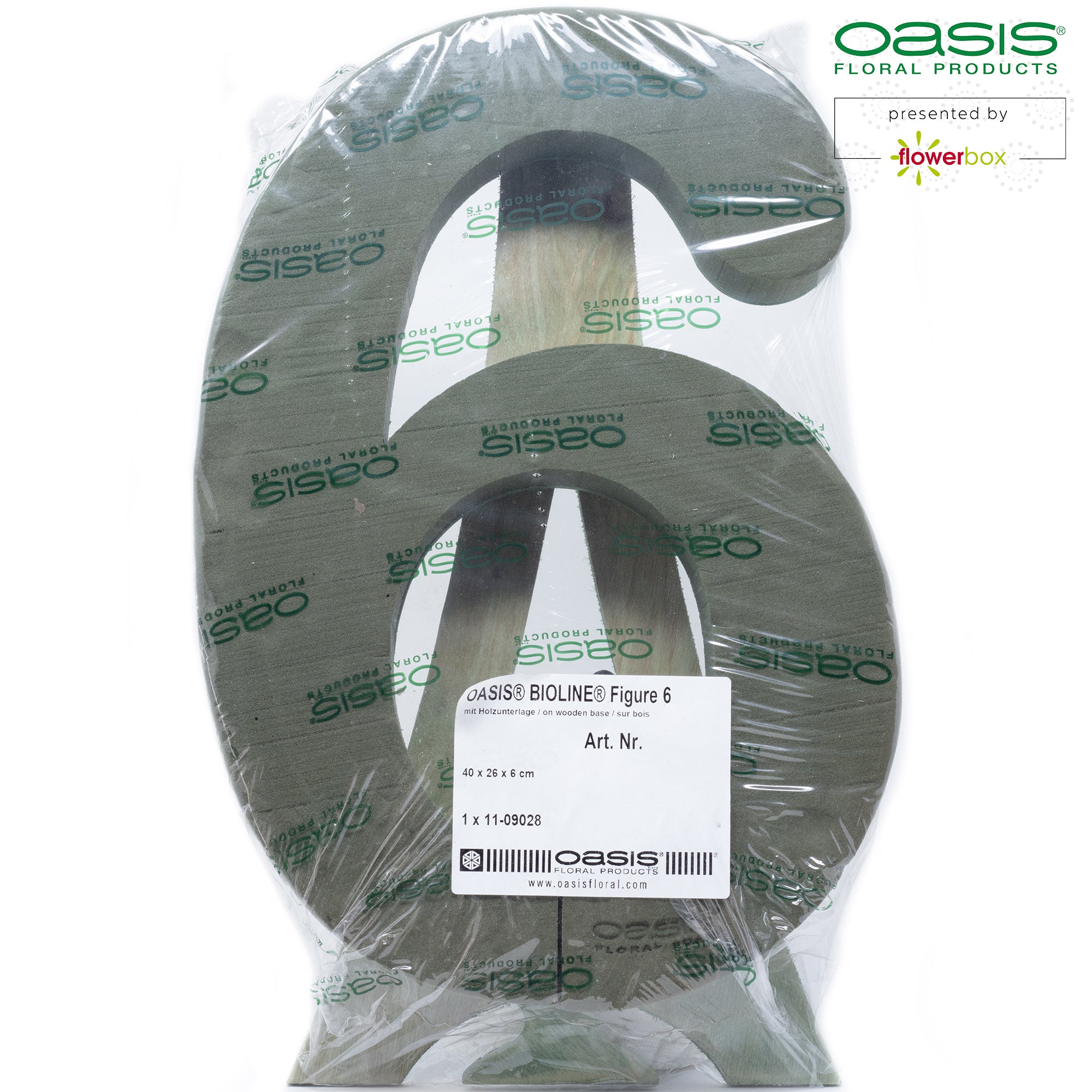 OASIS® BIOLINE® Ziffer 6 - 40 x 26 x 6 cm