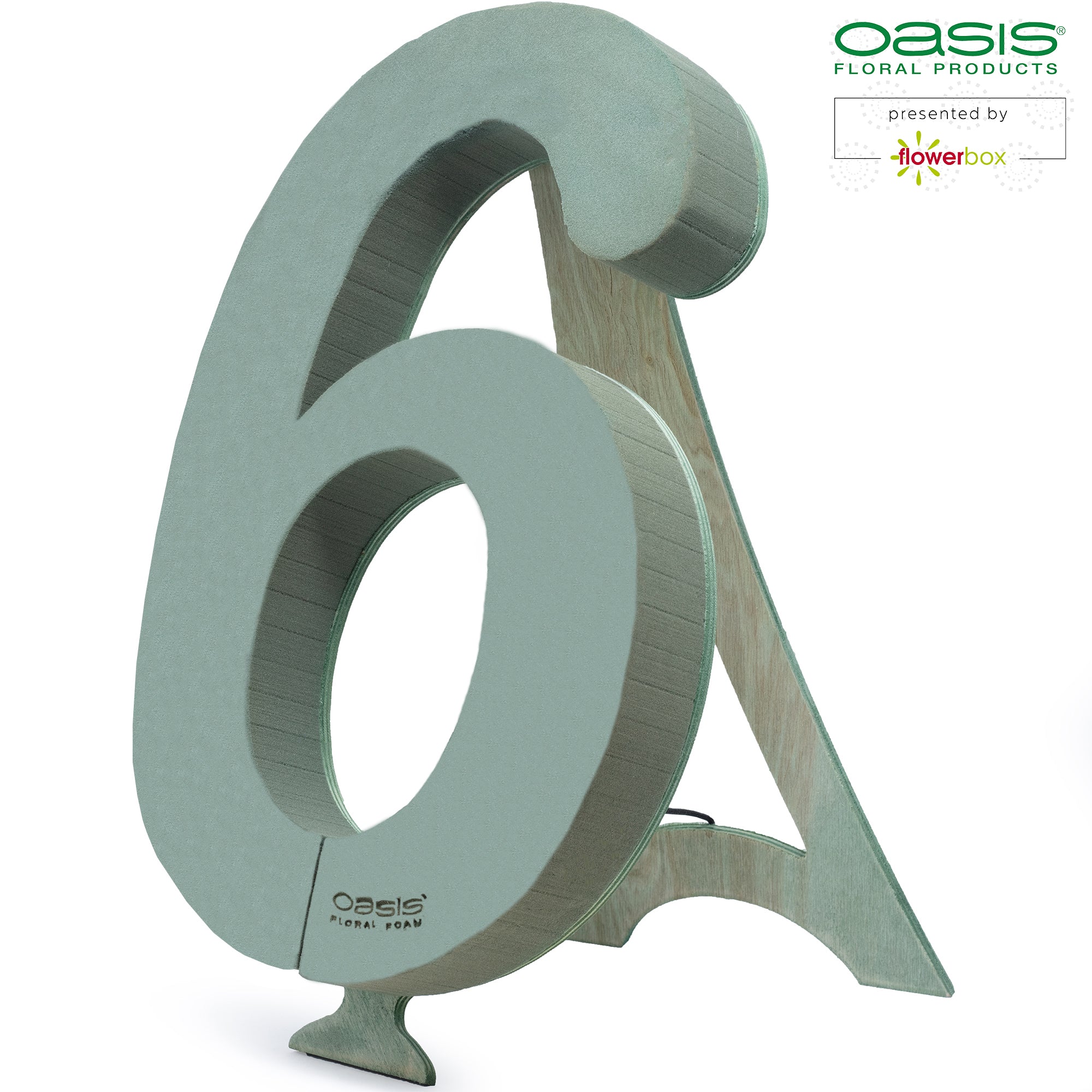 OASIS® BIOLINE® Ziffer 6 - 40 x 26 x 6 cm