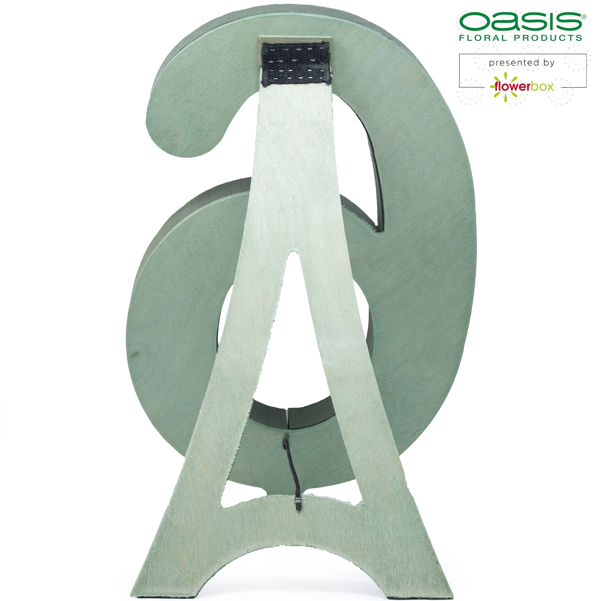 OASIS® BIOLINE® Ziffer 6 - 40 x 26 x 6 cm