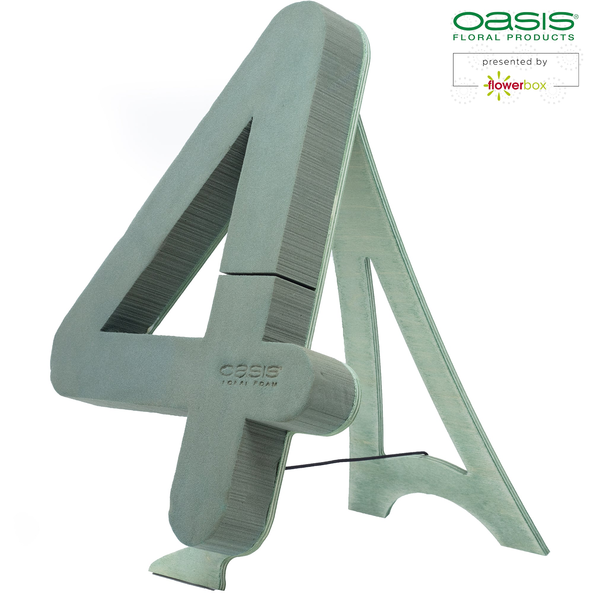 OASIS® BIOLINE® Ziffer 4 - 40 x 28 x 6 cm